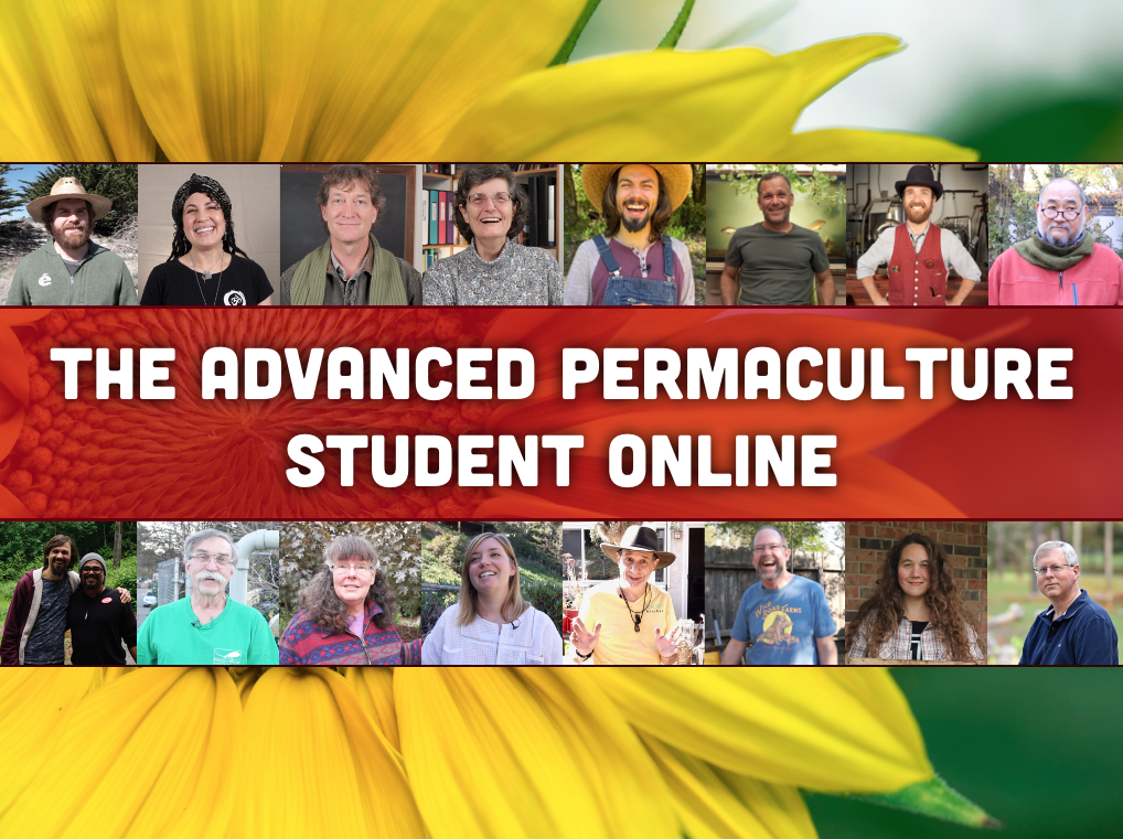 Screen Shot 2020-10-19 at 5.36.54 PM.png