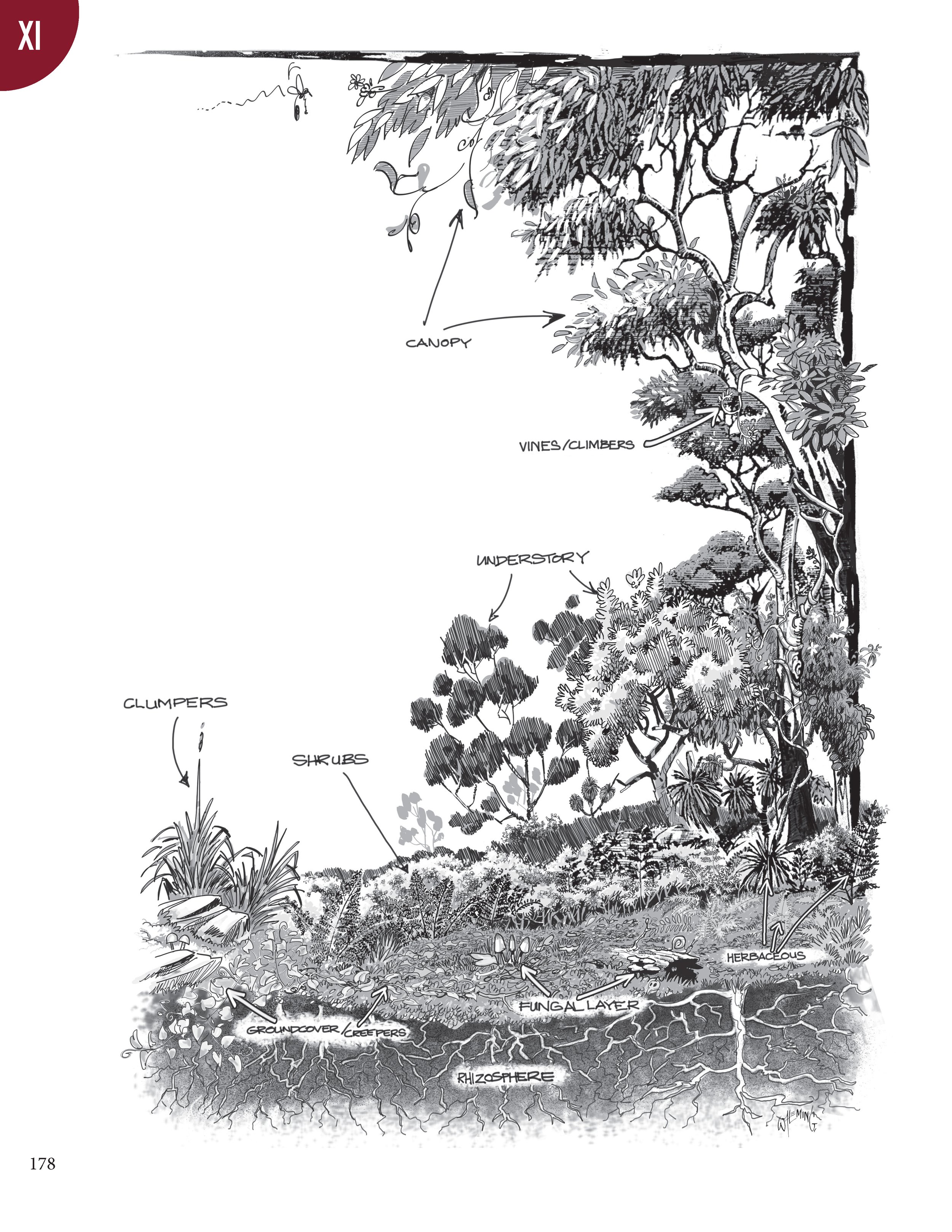 PS2 Intro page 1_Page_182.jpg