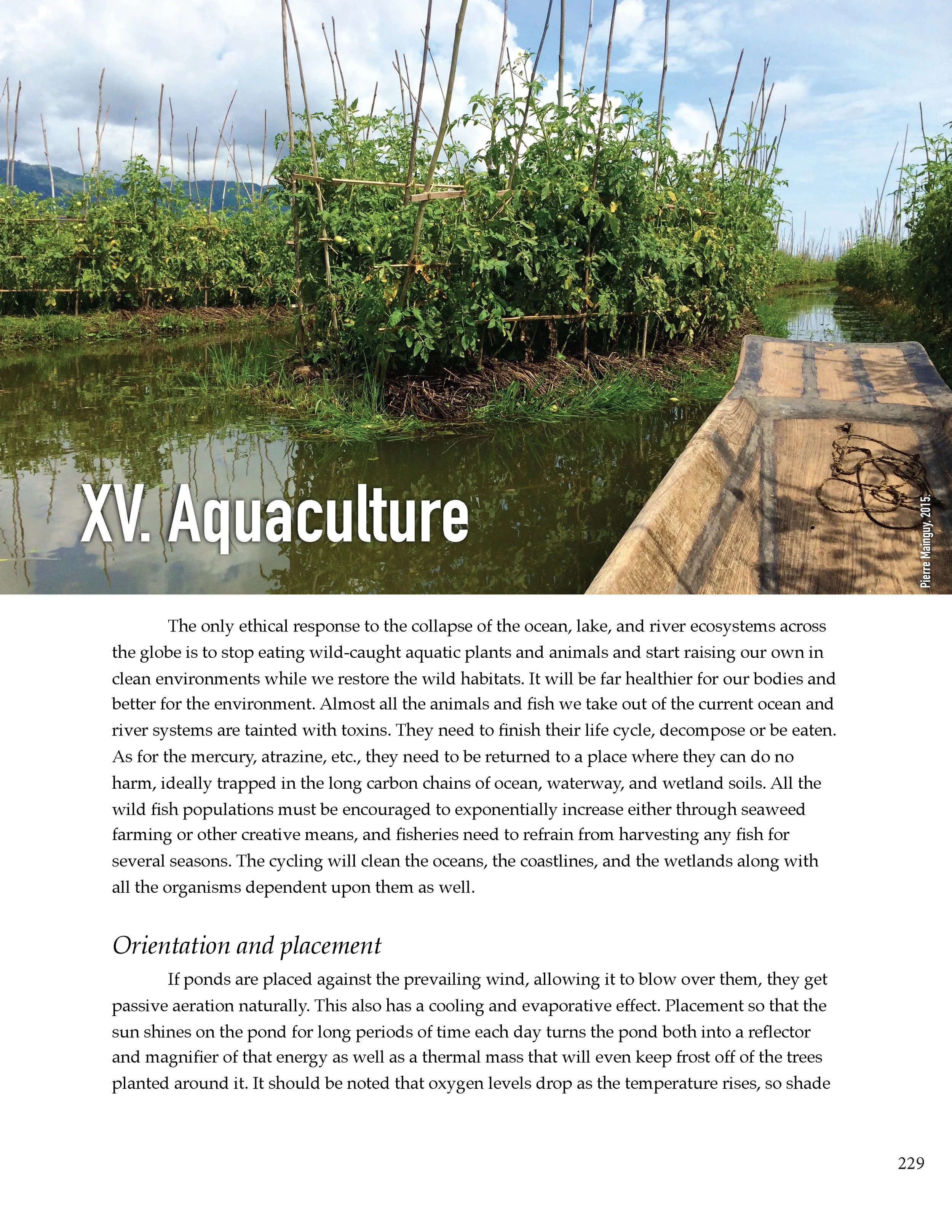 PS2 Intro page 1_Page_233.jpg