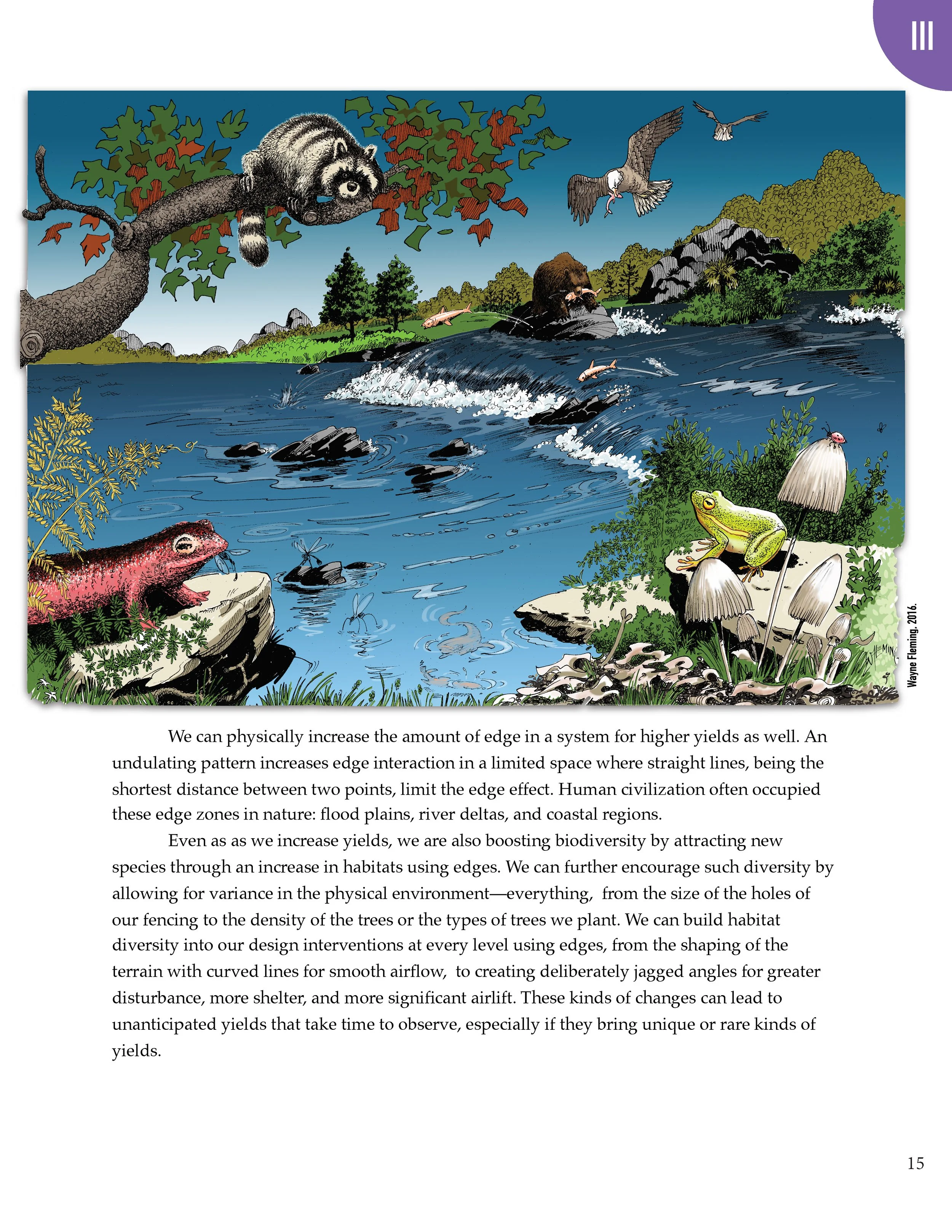 PS2 Intro page 1_Page_019.jpg