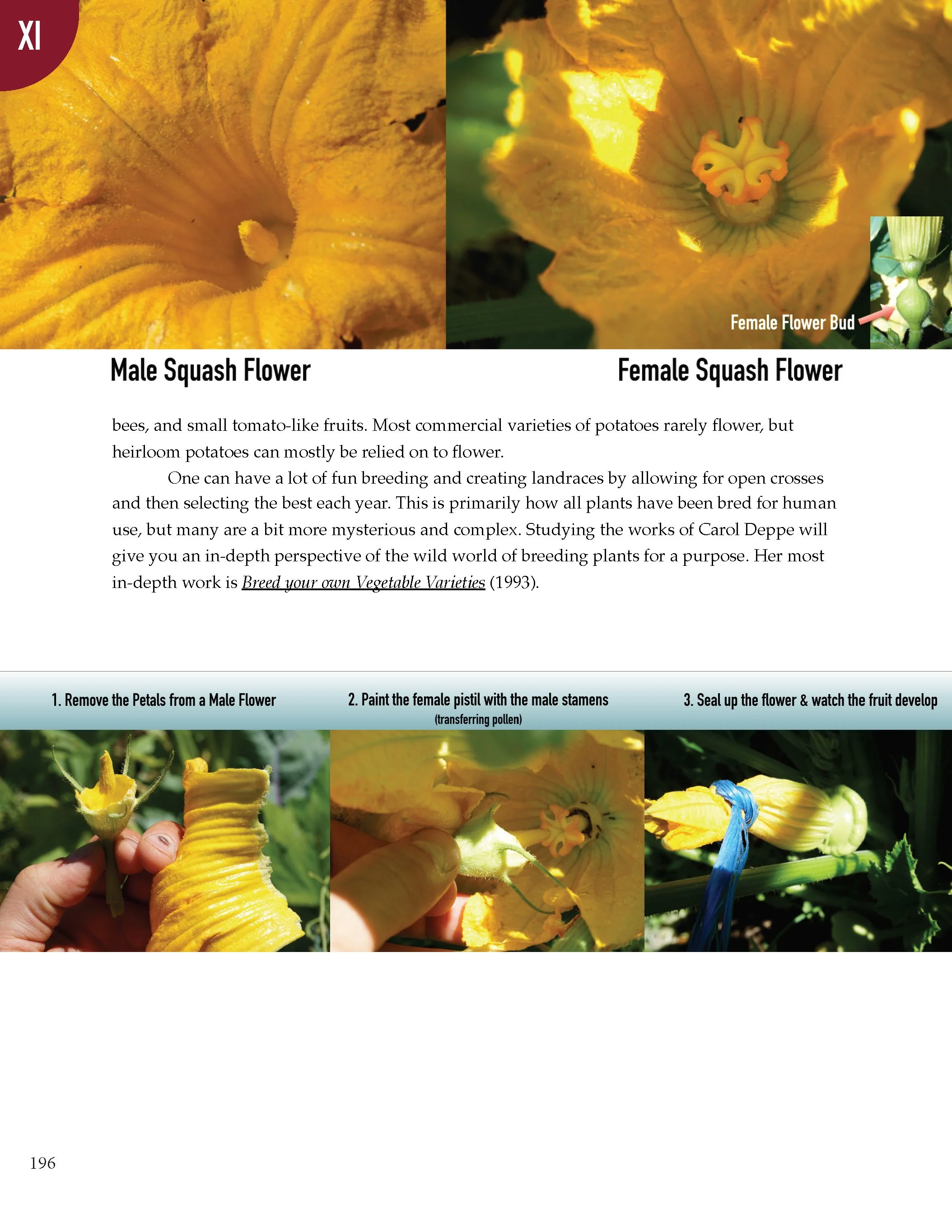 PS2 Intro page 1_Page_200.jpg