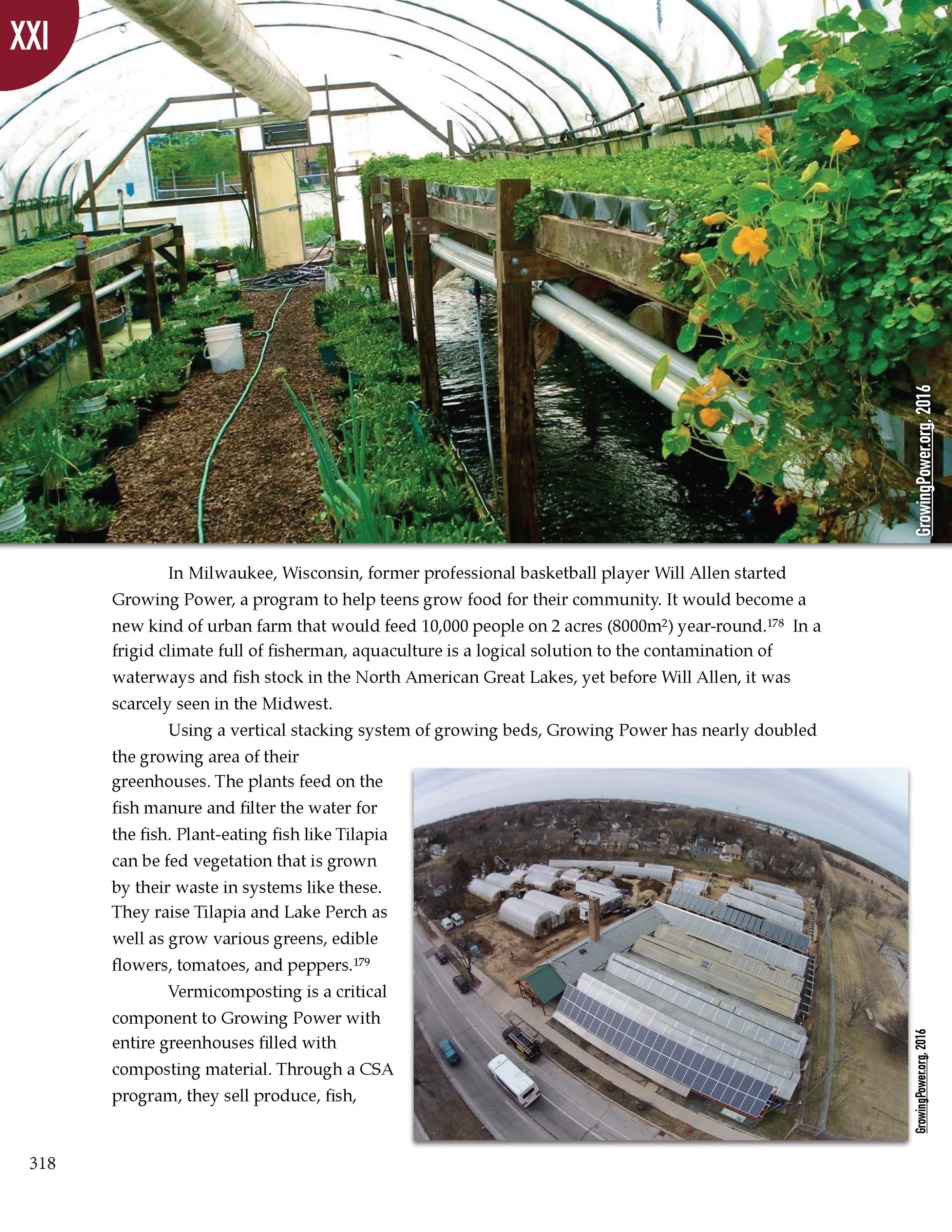 PS2 Intro page 1_Page_322.jpg