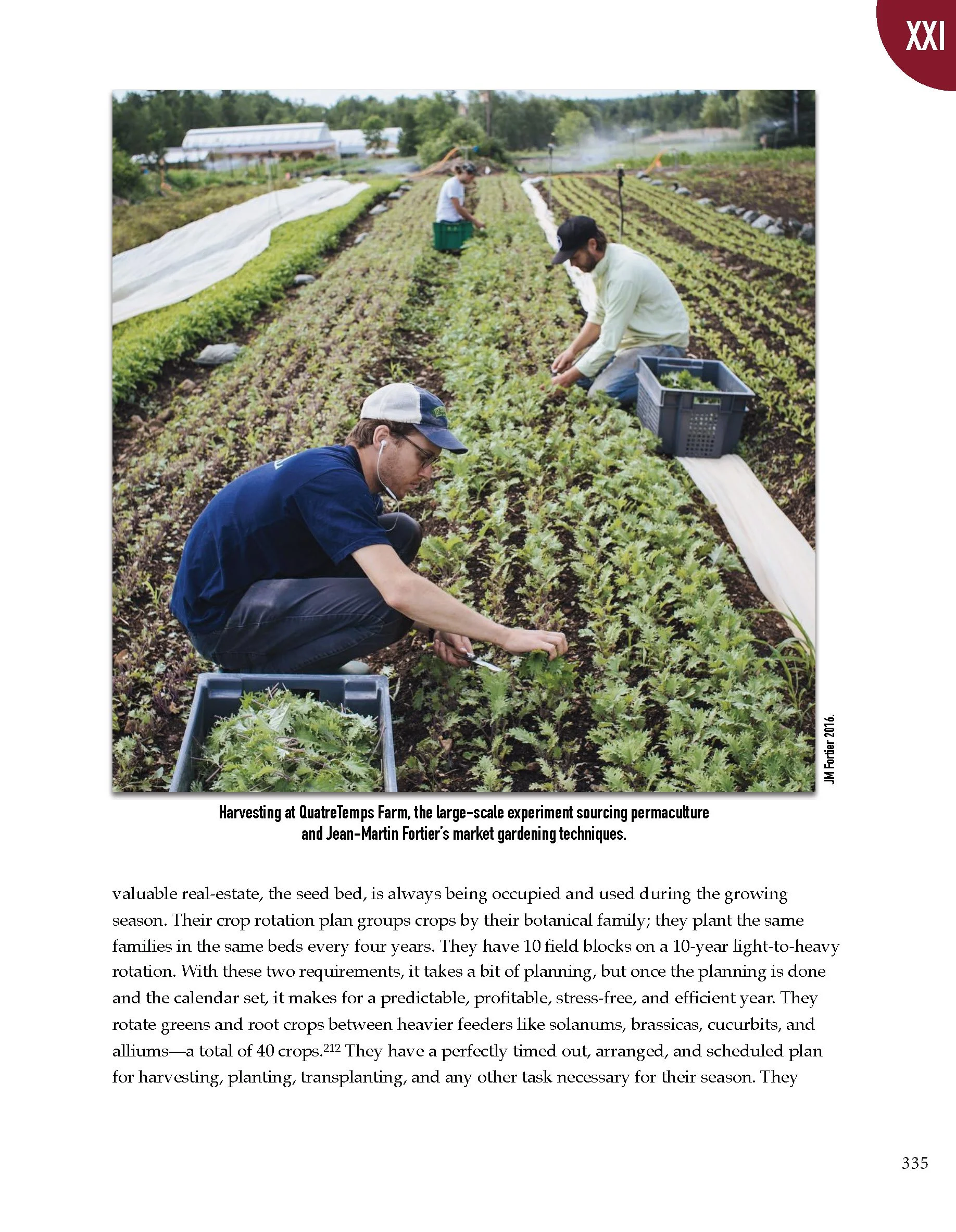 PS2 Intro page 1_Page_339.jpg