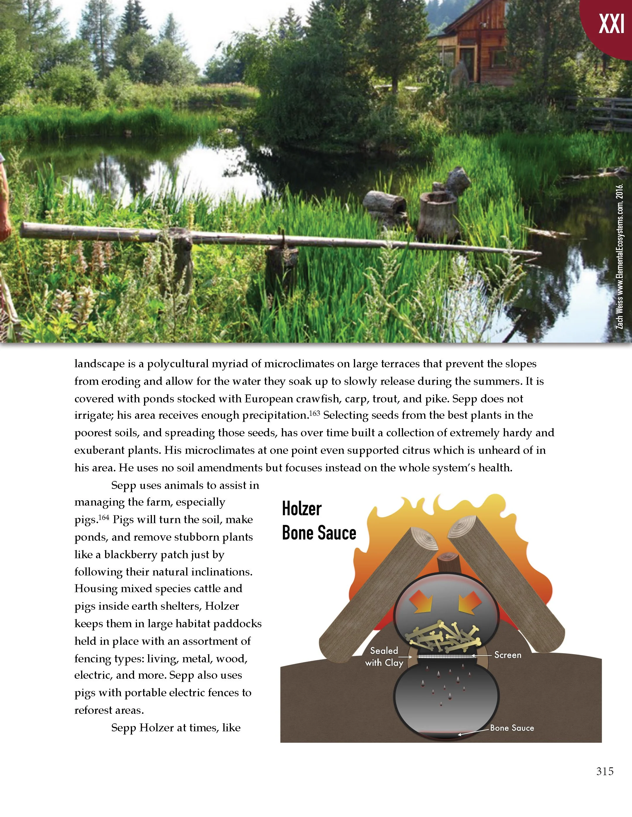 PS2 Intro page 1_Page_319.jpg