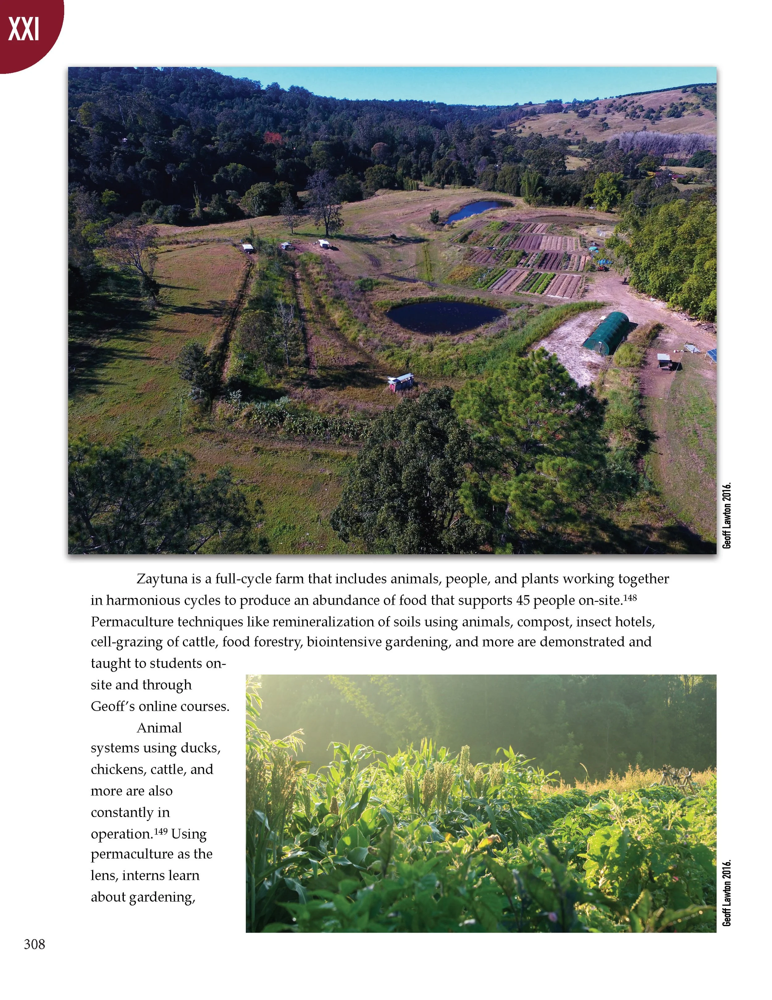 PS2 Intro page 1_Page_312.jpg