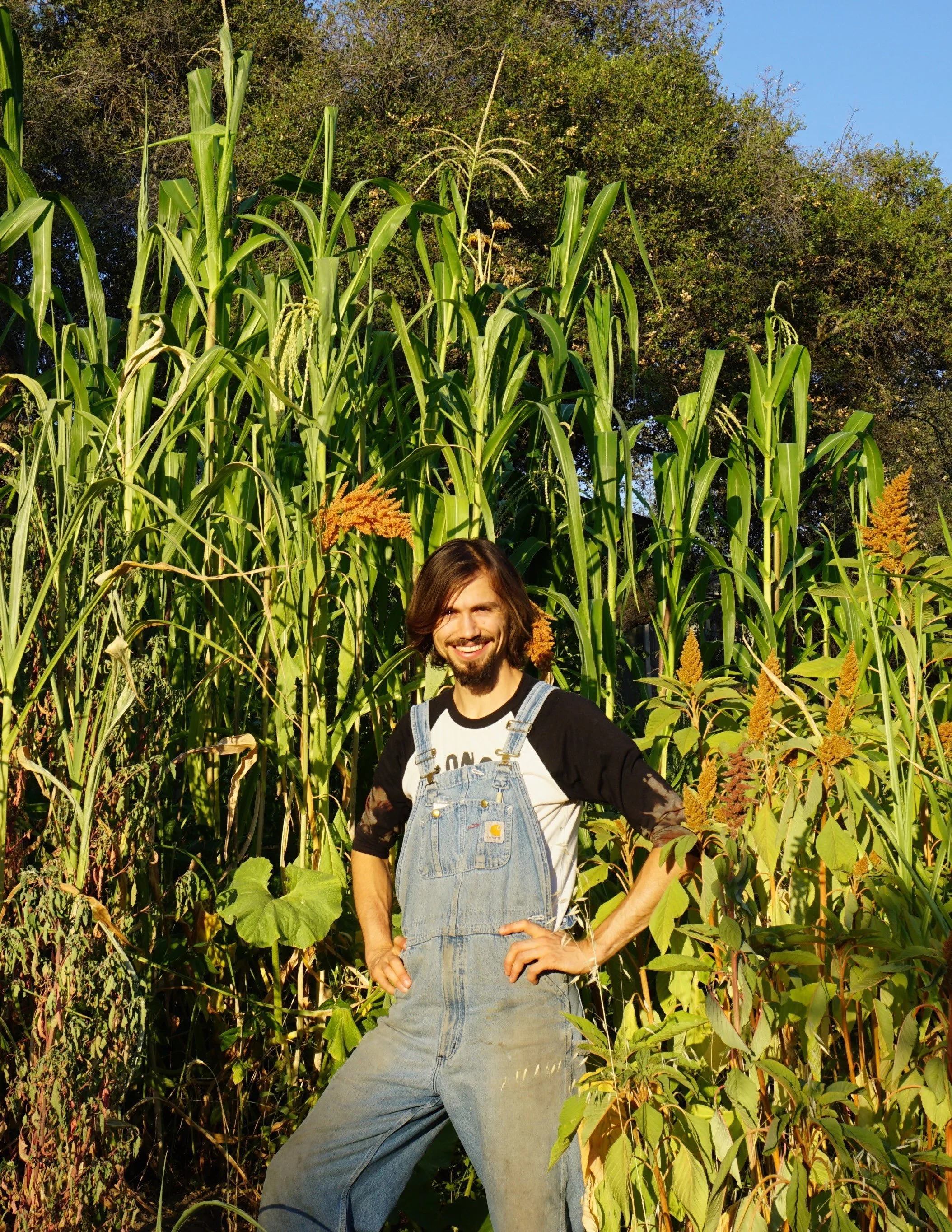 PS2 Intro page 1_Page_354.jpg