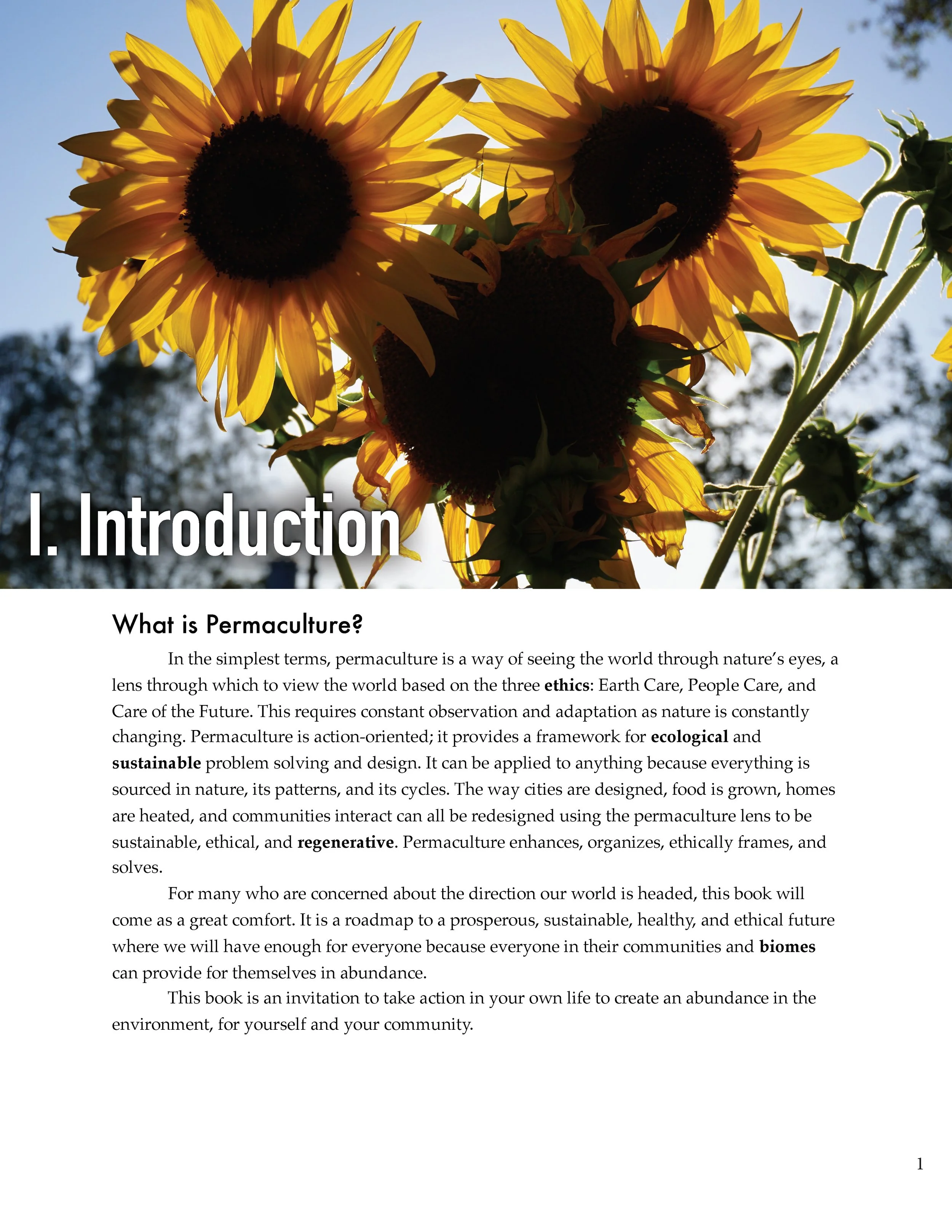 PS2 Intro page 1_Page_005.jpg