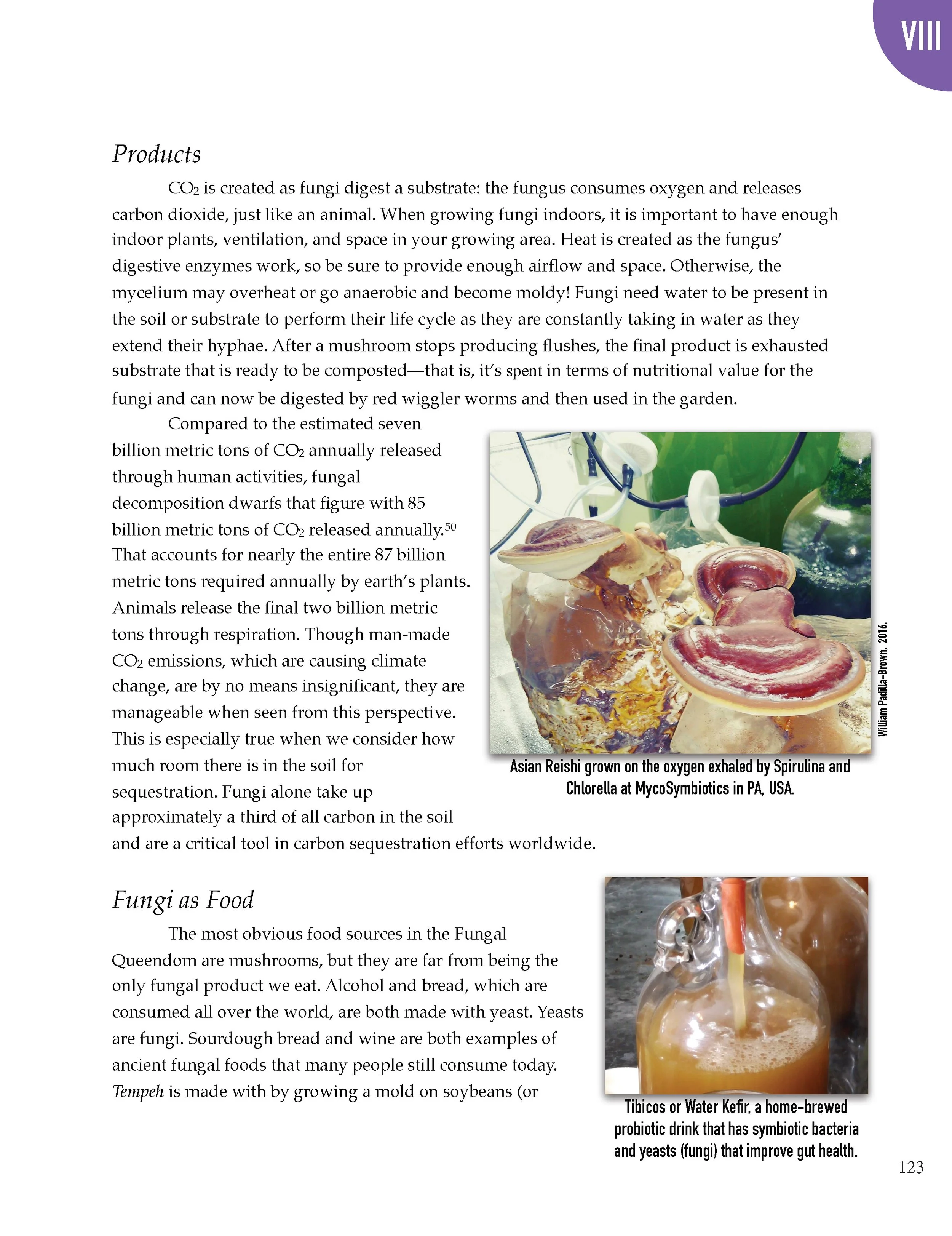 PS2 Intro page 1_Page_127.jpg