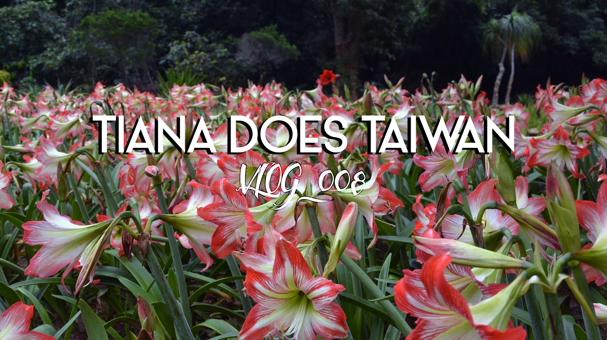 Tiana Does Taiwan Day 8