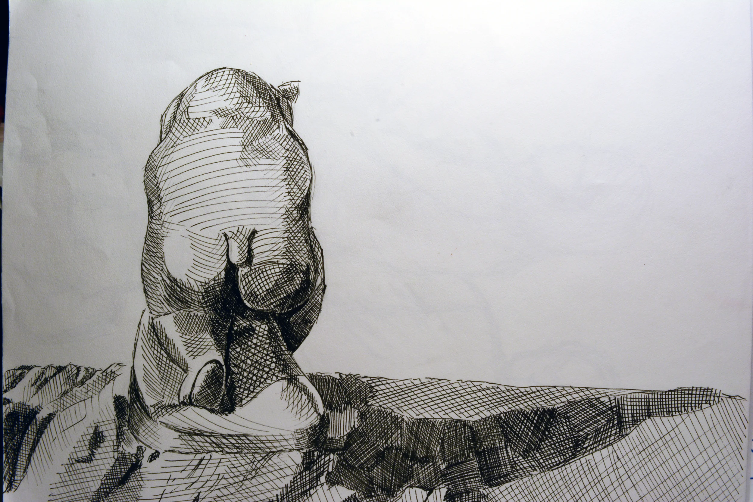   Medium: &nbsp;Black Felt Tip Pen 