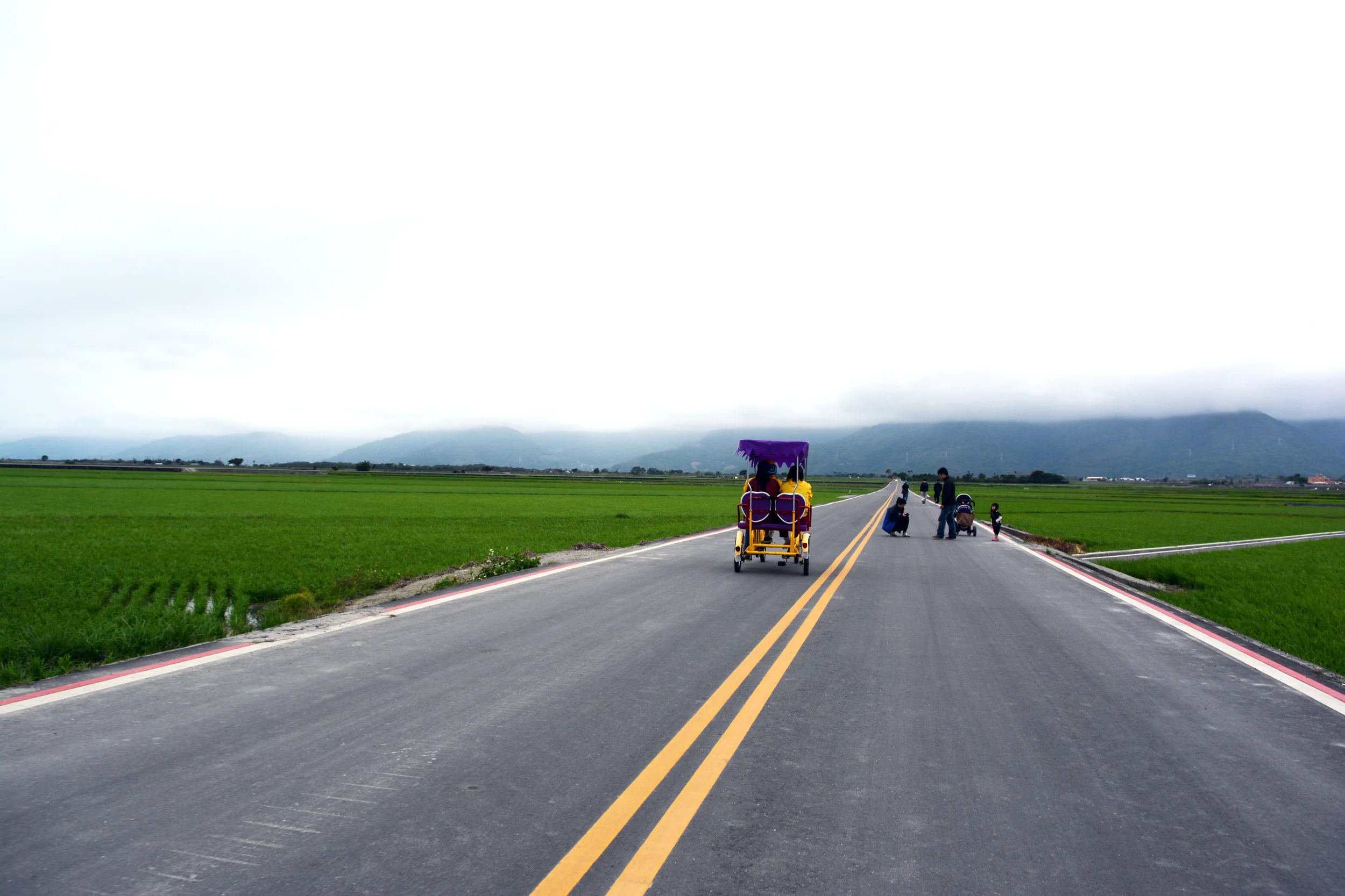  ChihSang Rice Field  Taitung, Taiwan 