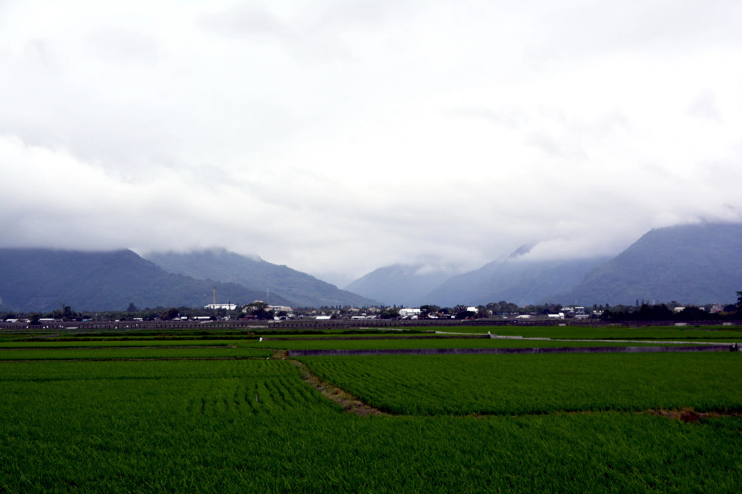  ChihSang Rice Field  Taitung, Taiwan 