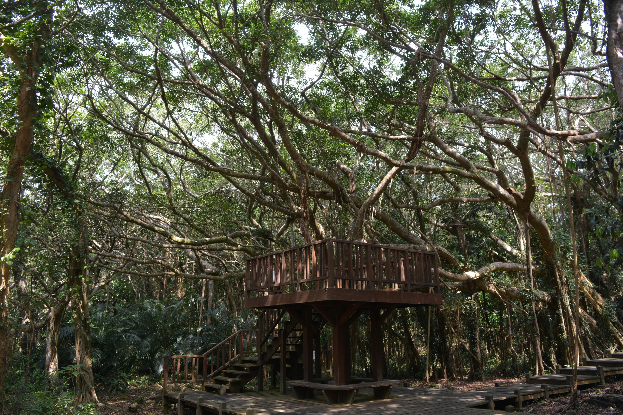  Kenting National Park  Kenting, Taiwan 