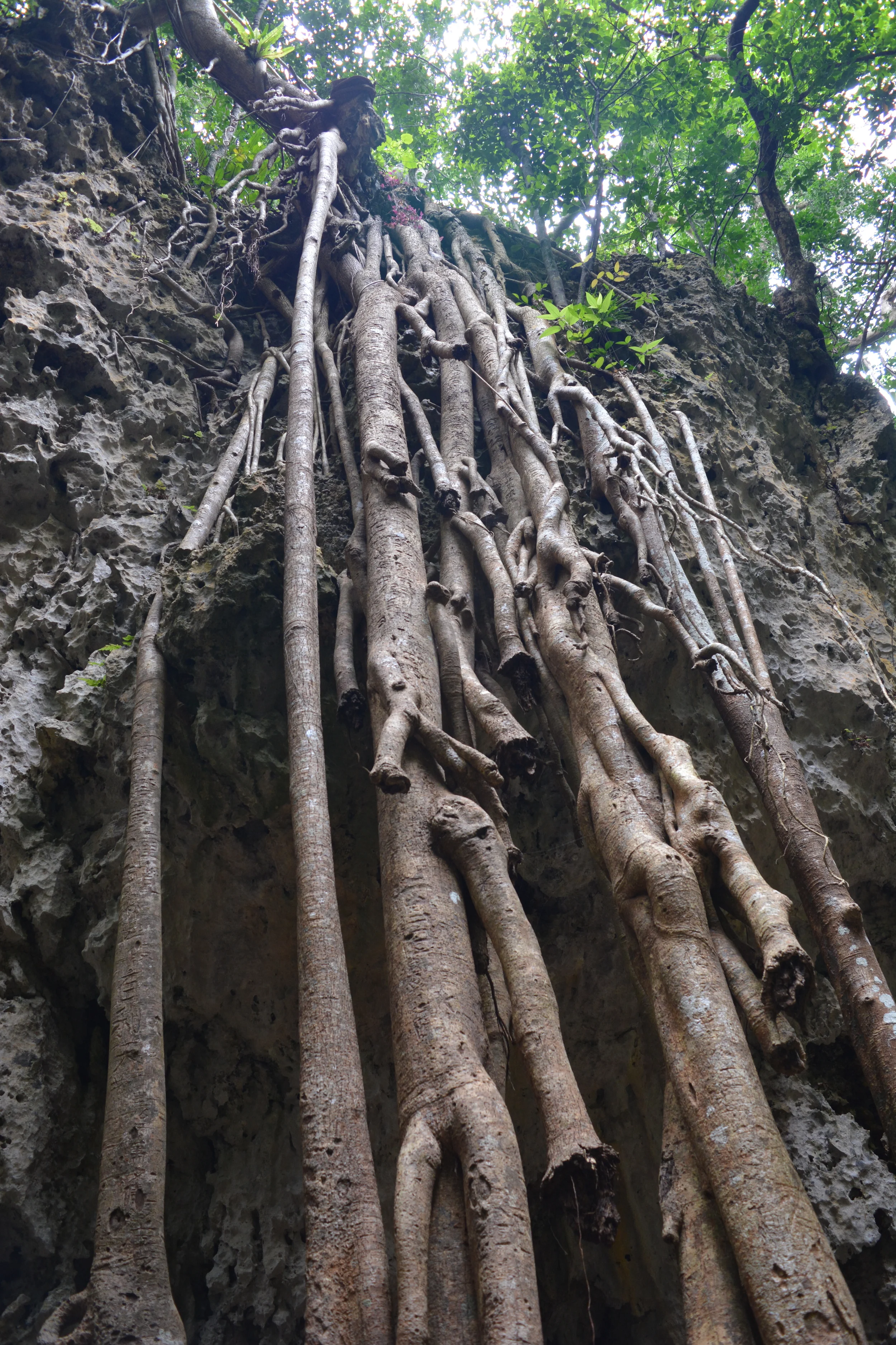  Kenting National Park  Kenting, Taiwan 