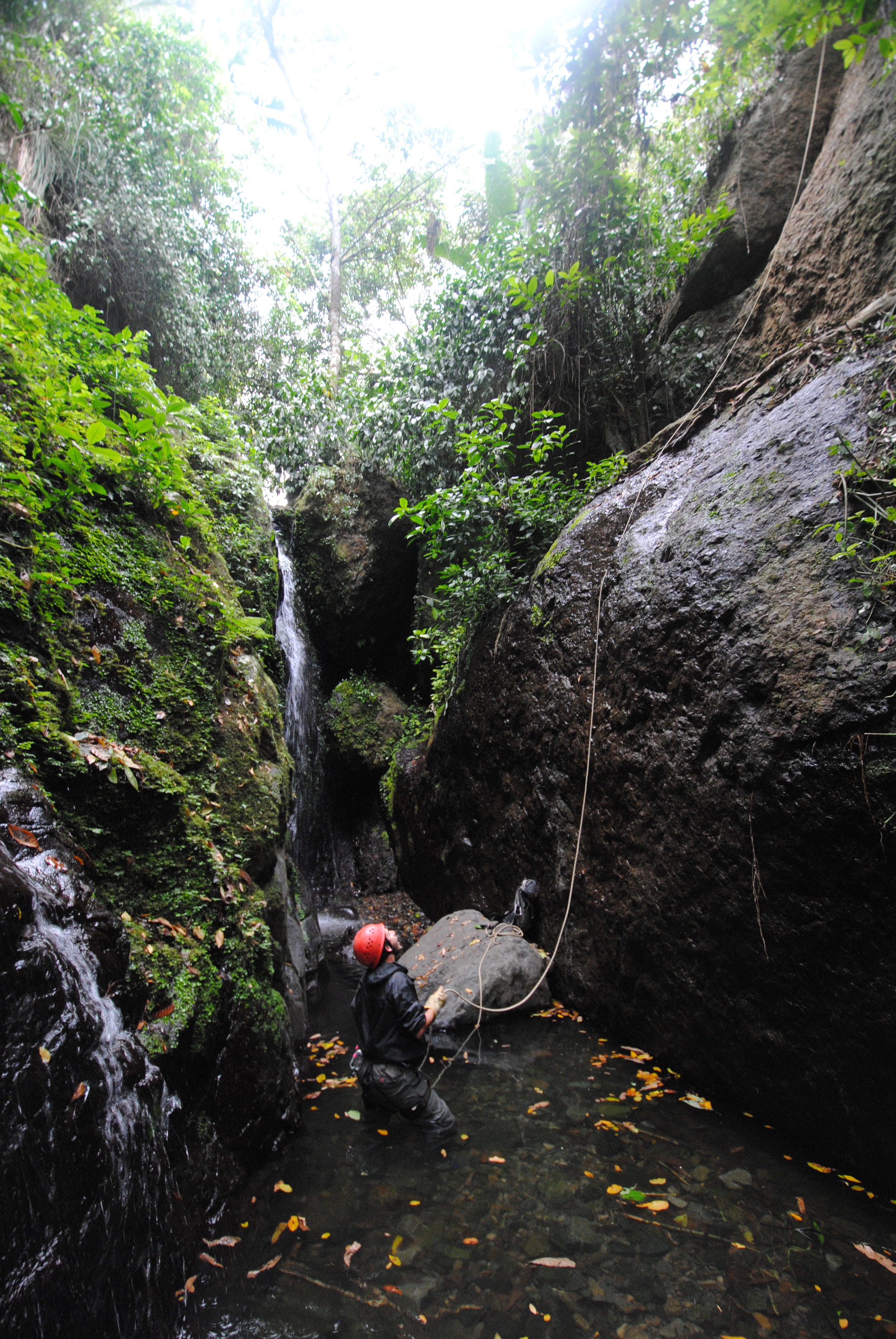  Toro Negro Rain Forest  Puerto Rico    