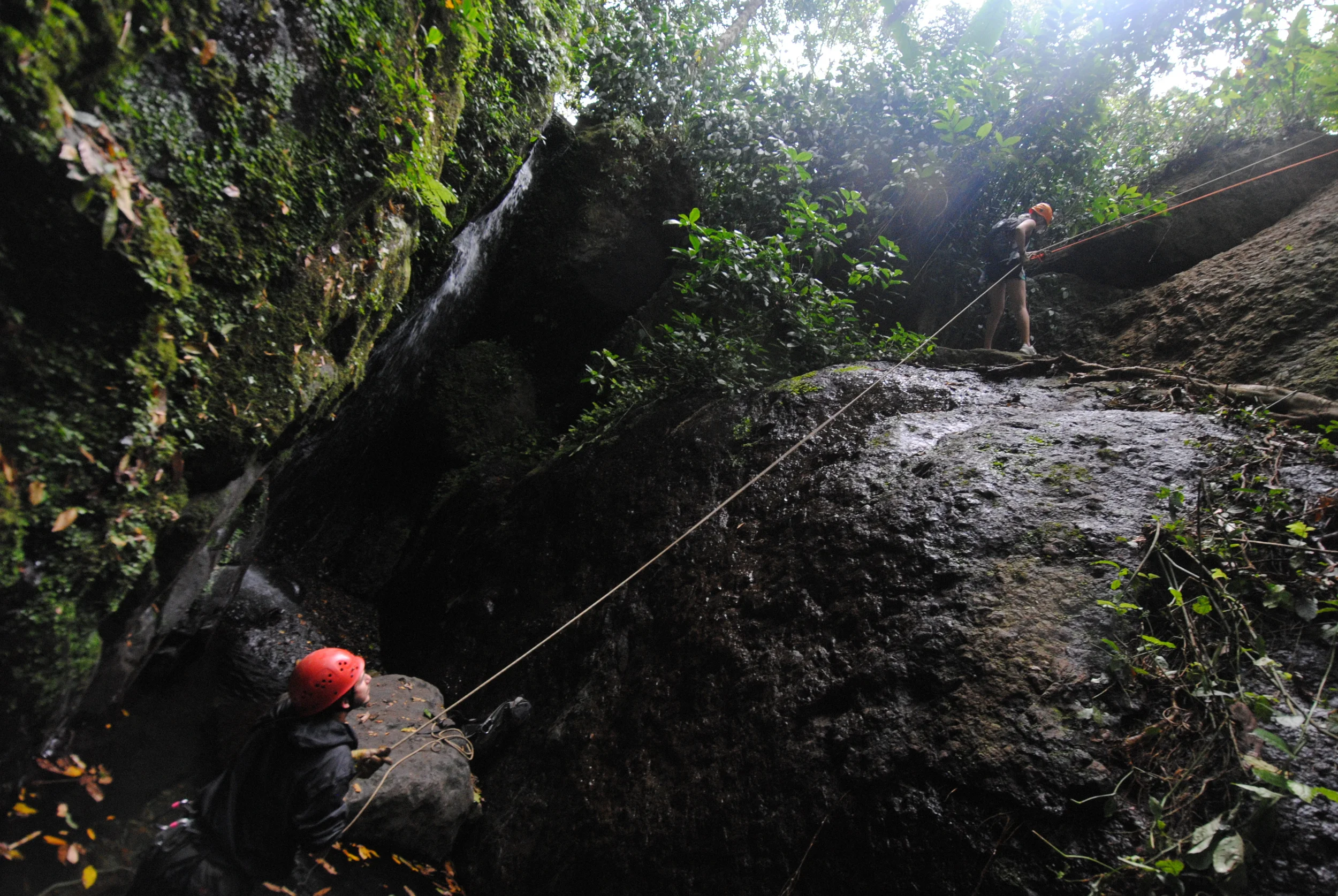  Toro Negro Rain Forest  Puerto Rico 