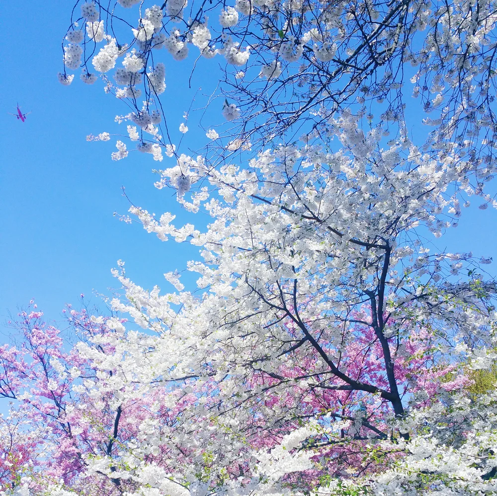 2015-04-26 12.20.05 1.jpg