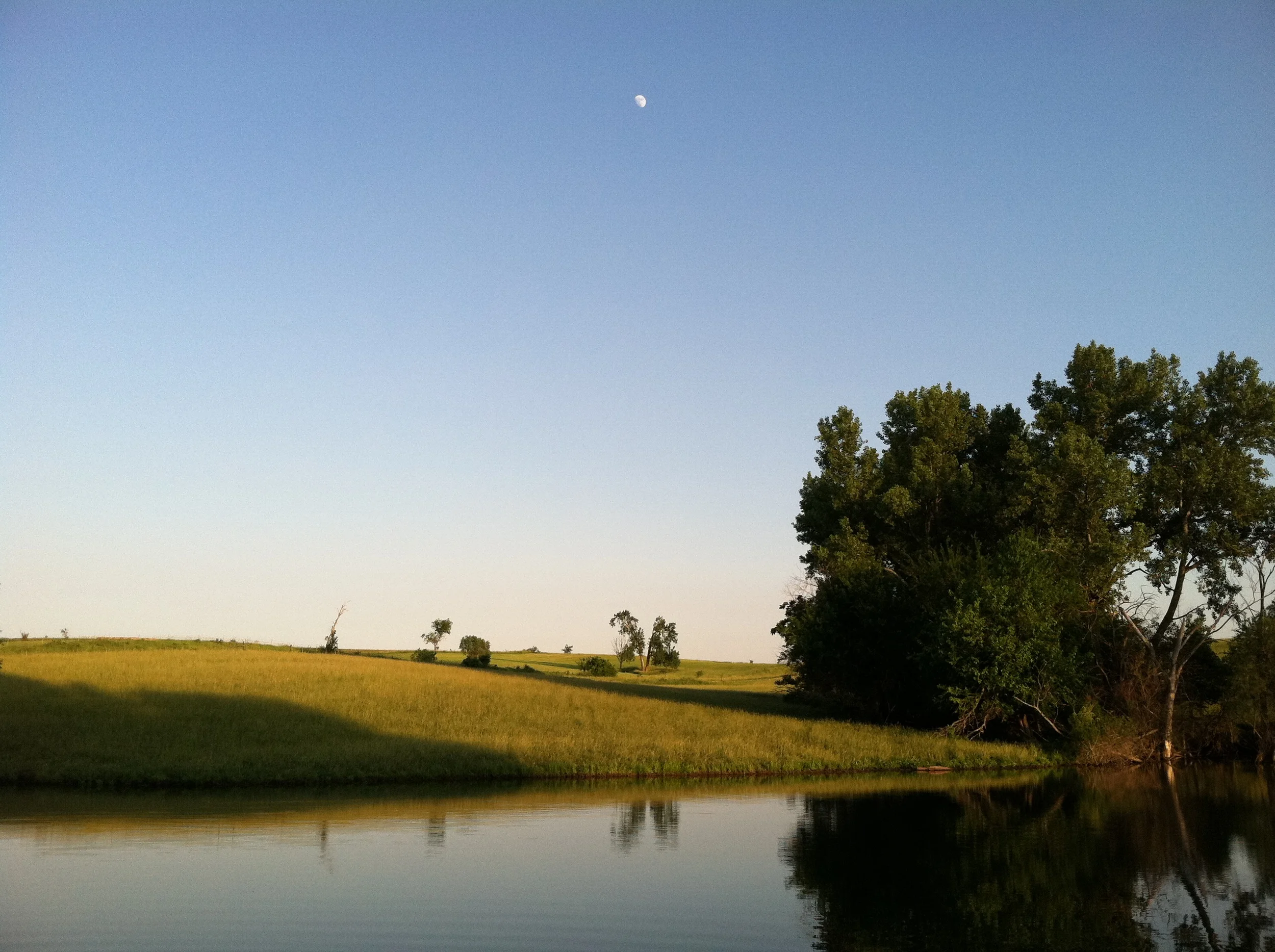 Peace and quiet on the Family Farm.