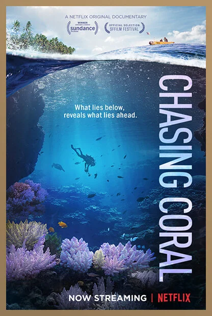 chasingcoral.jpg