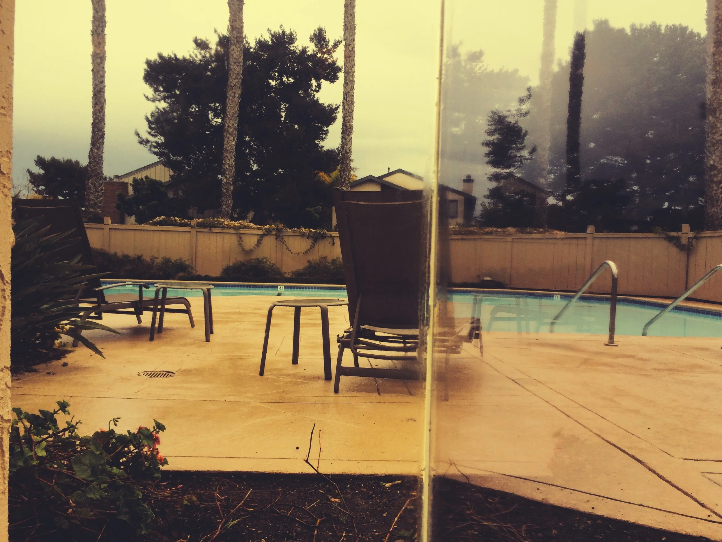 Pool Day