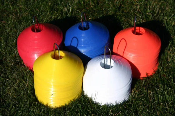 disc cones.2.jpg