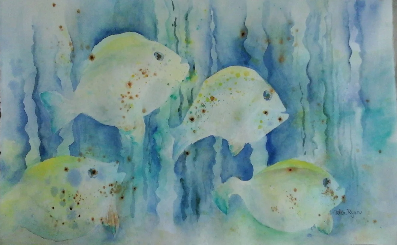 20150324_144645 Fish.jpg