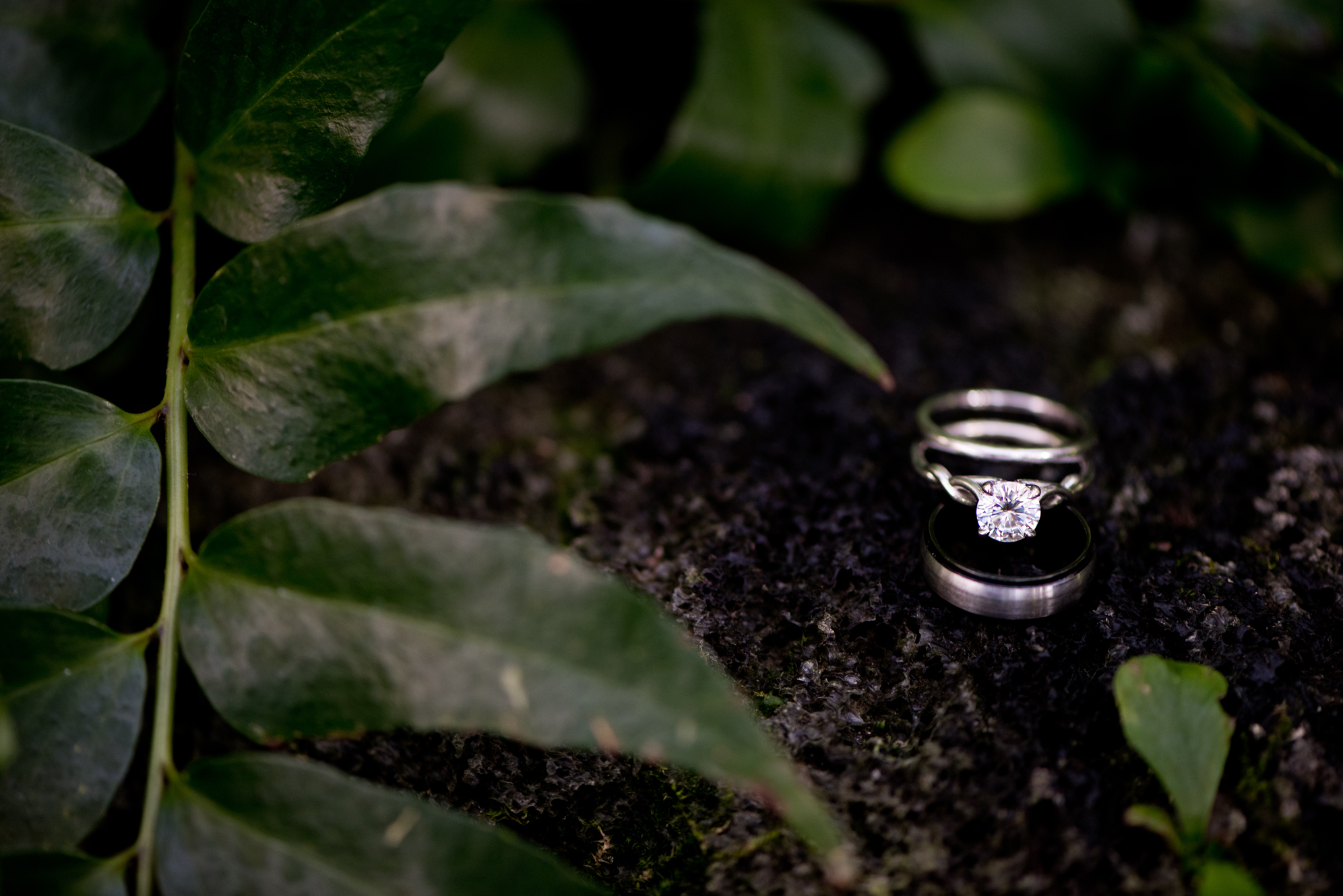Wedding Ring Photos | Rivets &amp; Roses | Photography by Melissa Hesse