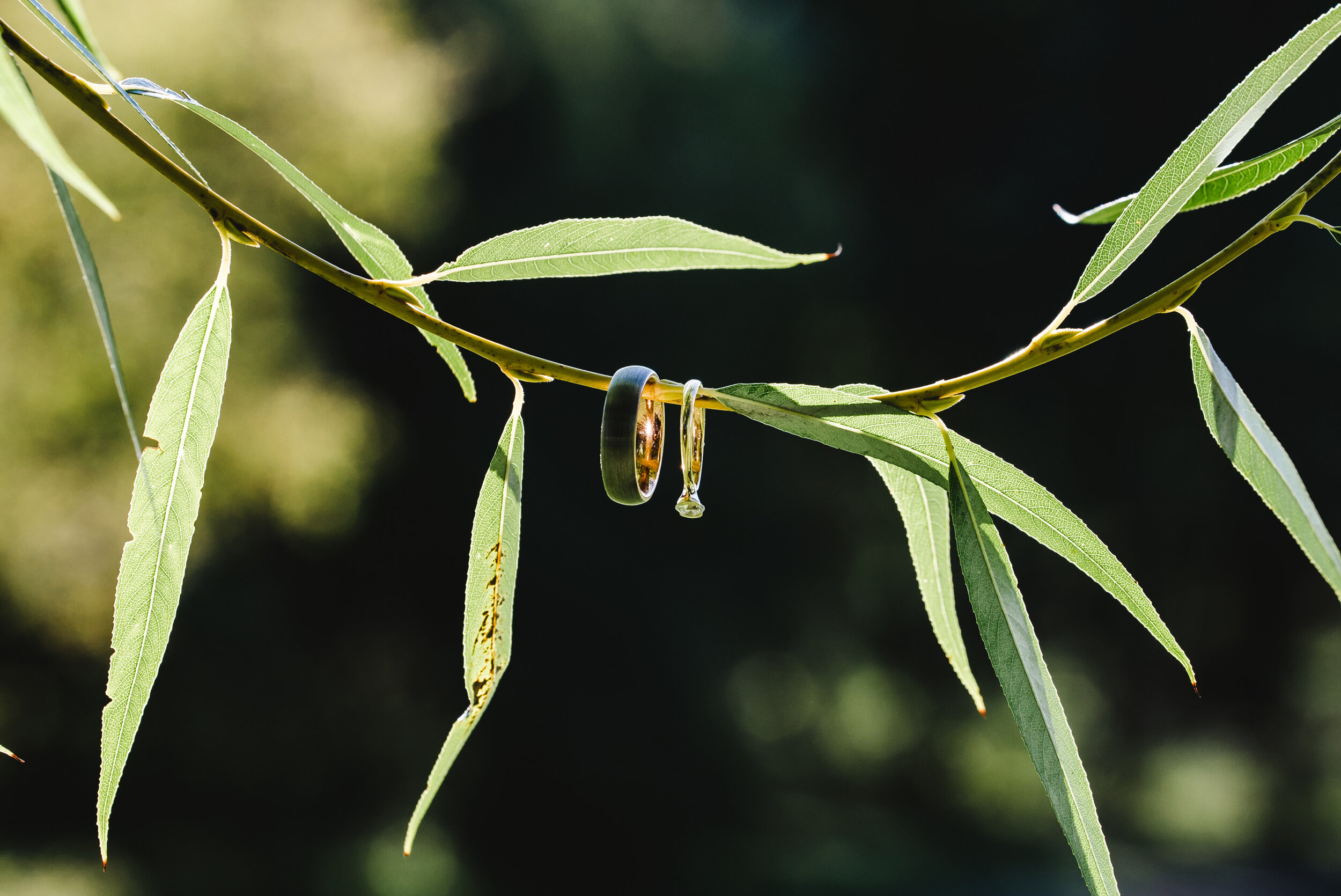 Affordable Wedding Photographers Minnesota | Rivets &amp; Roses | Photography by Ben Lansky