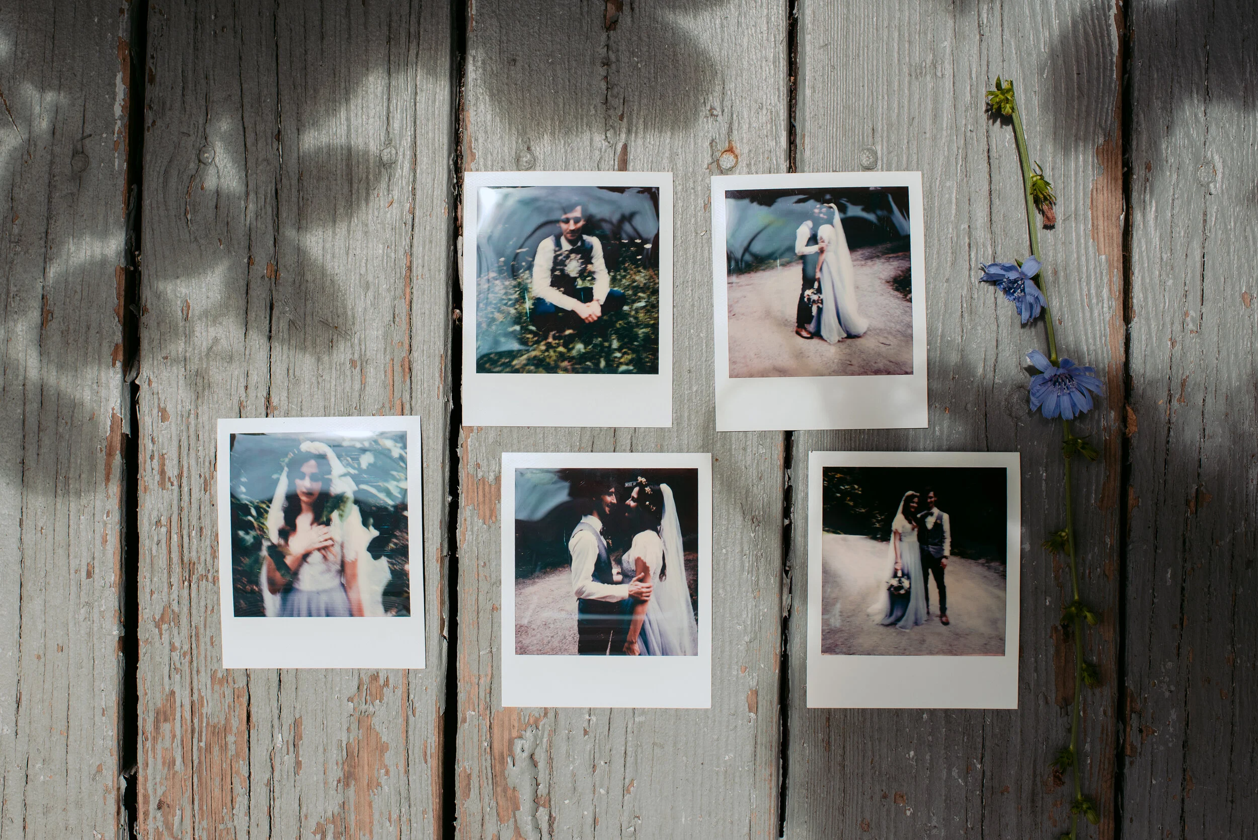 Minneapolis Wedding Photographer | Rivets & Roses | Photography by Tara Sloane