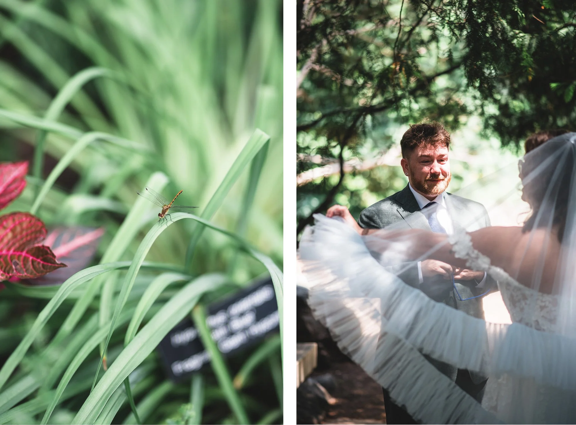 MN_Arb_Wedding_31.jpg