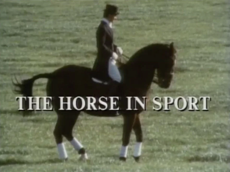 TAF-Titles-stills_0004_TheHorseinSport.jpg