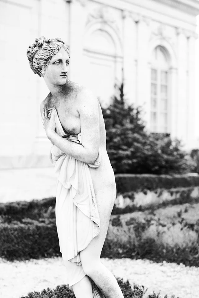 Photogen Inc. | Luxury Wedding Photographer MN | Destination Wedding Photography