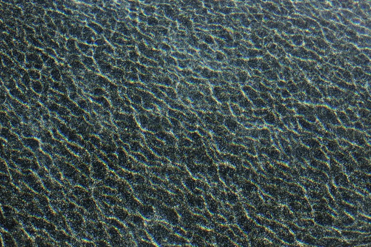 Feldbaum_PalmSprings_0021.jpg