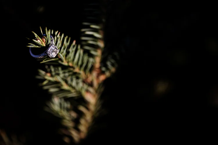 Krueger_Tree_Farm_Engagement_ShampBlog_0018