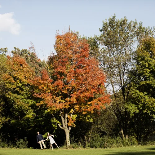 Engaged! // Laurie and Tim