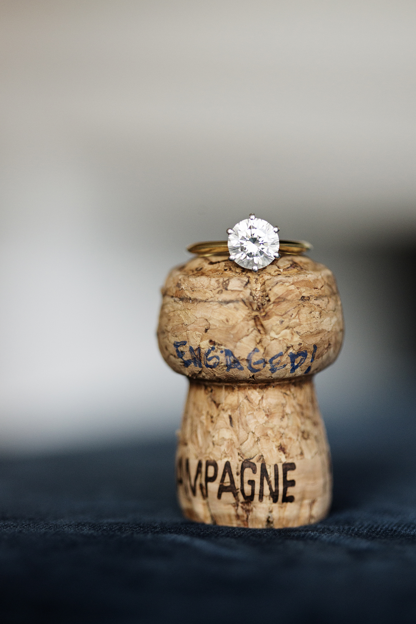Engagement Photos | Photography by Photogen Inc. | Eliesa Johnson | Based in Minneapolis, Minnesota
