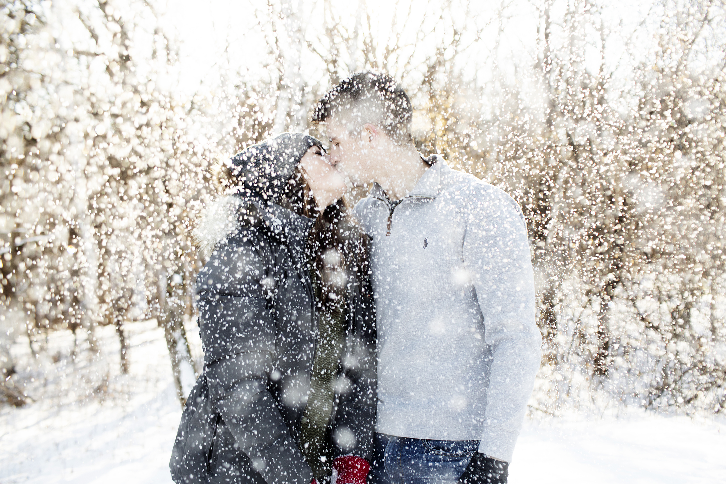 Winter Engagement Session | Afton State Park, MN | Photography by Photogen Inc. | Eliesa Johnson | Based in Minneapolis, Minnesota