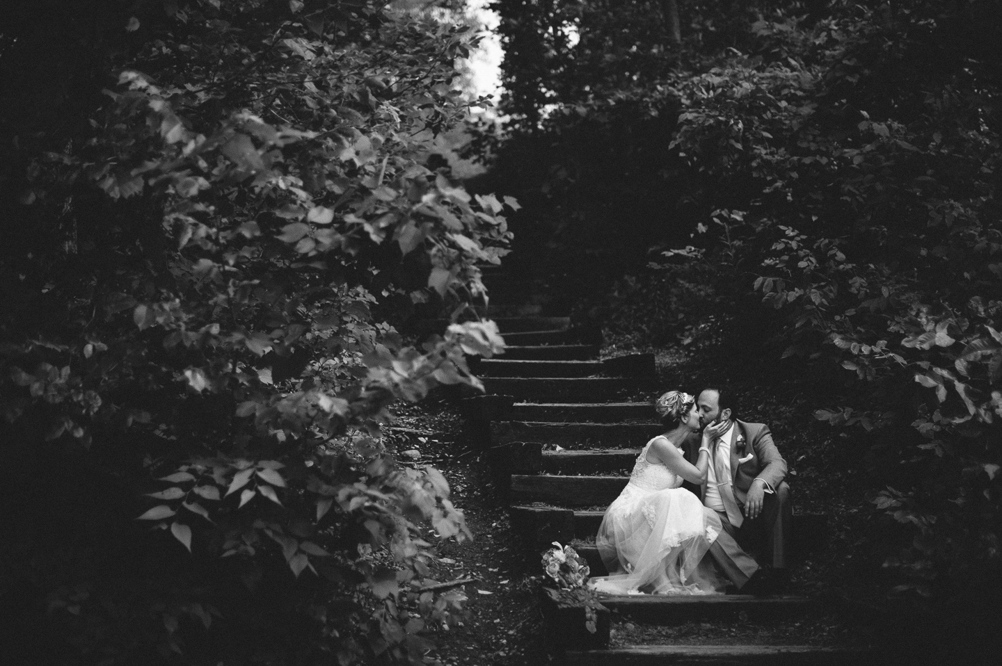 Image by Ryan Stadler