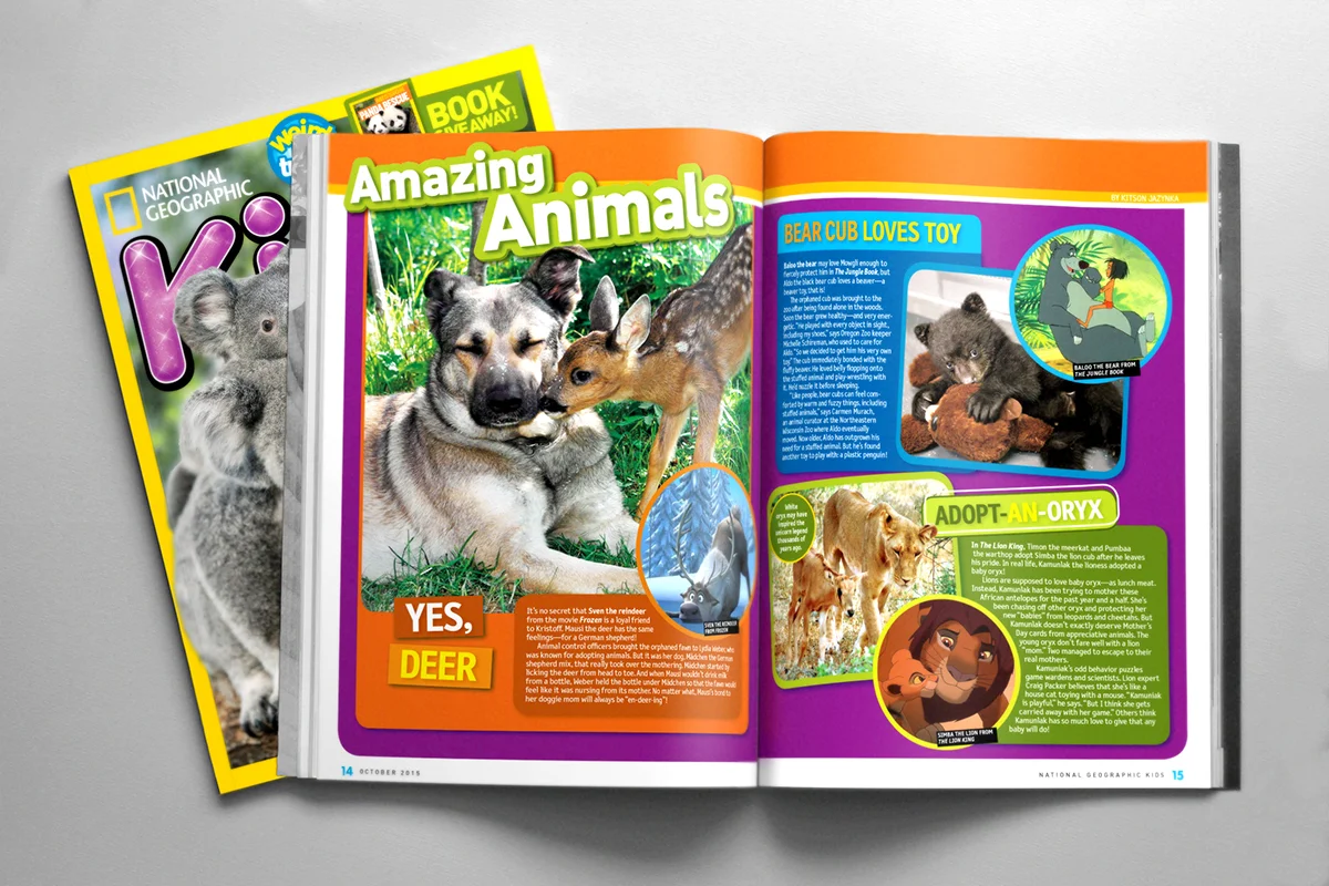 magazine2.jpg