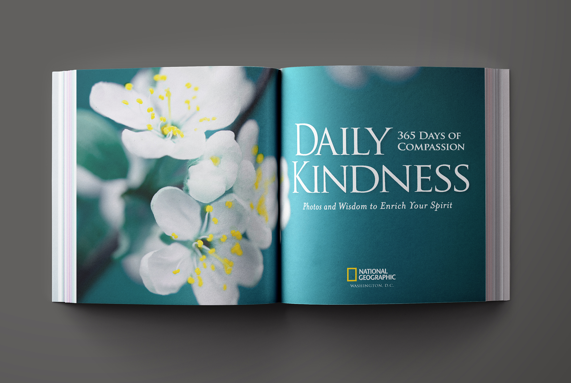 DK-cover.jpg