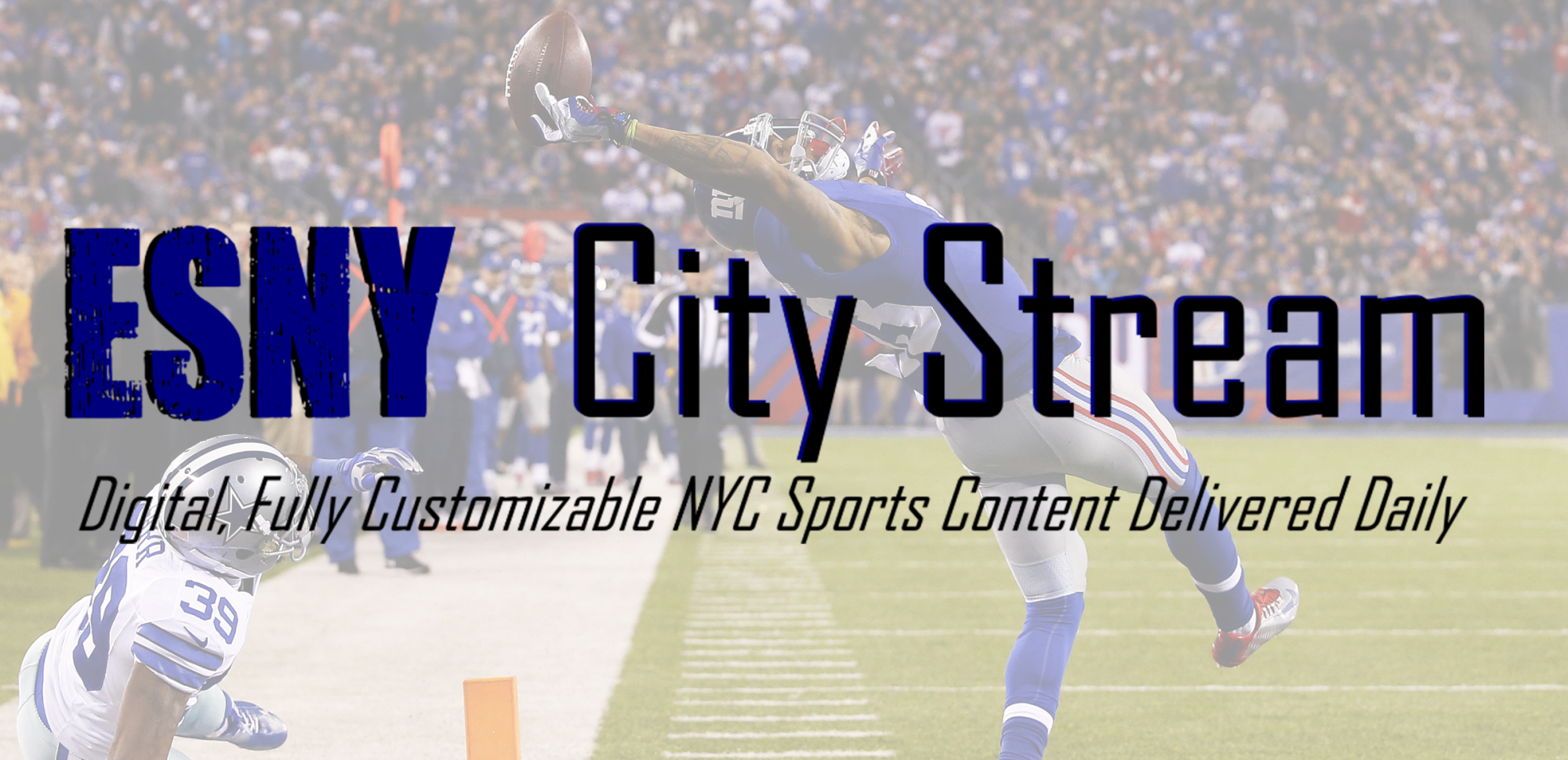 1a1a1a1aPAGEScitystream.png