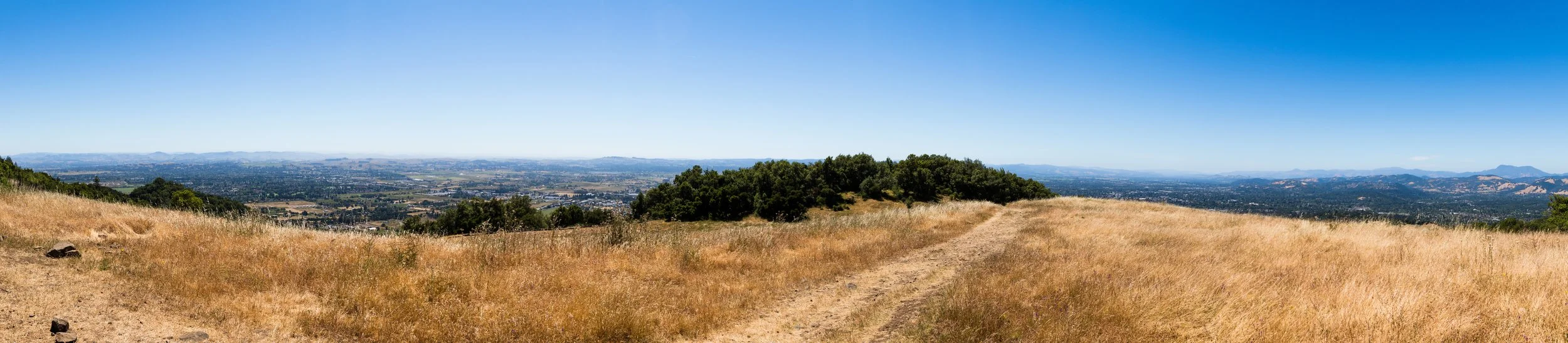 060317_Taylor_Mountain_0033-Pano_small.jpg