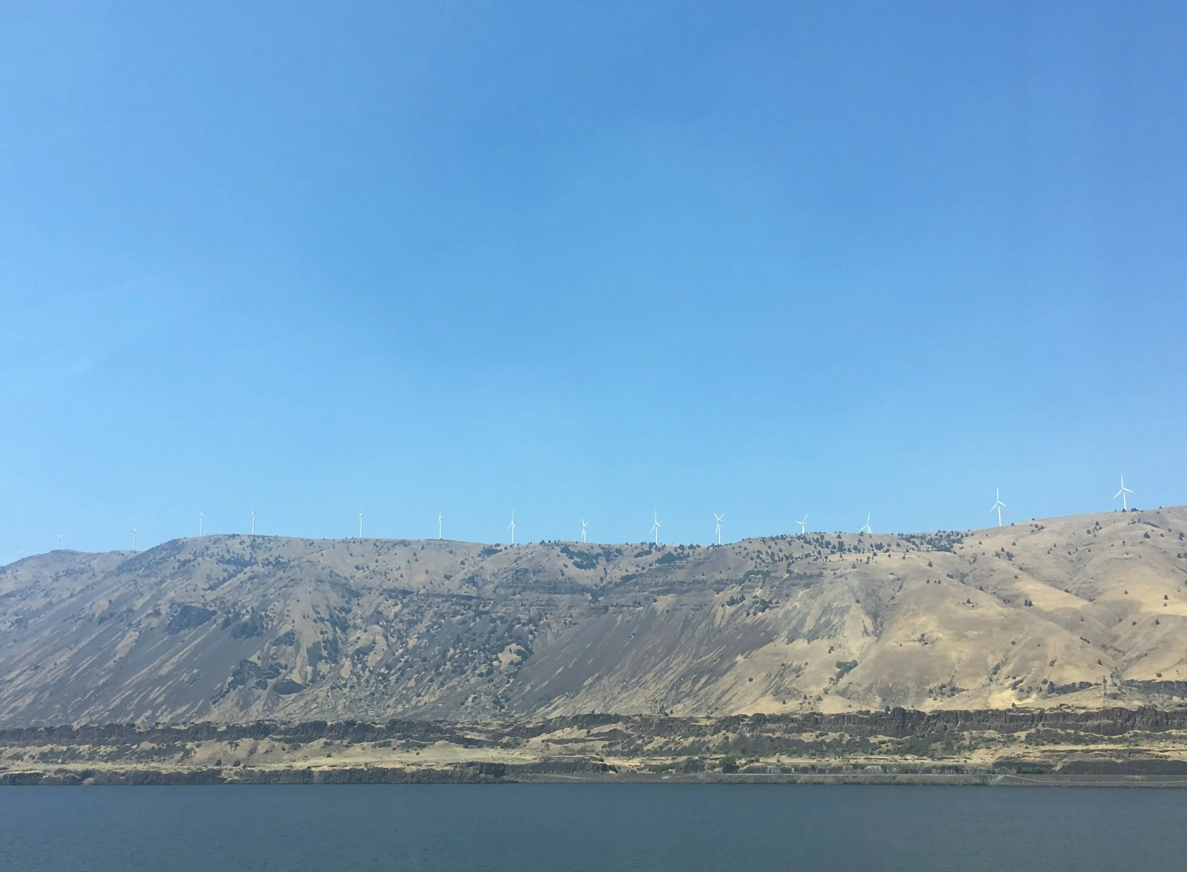 IMG_3805.jpg