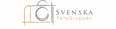 sfg.png
