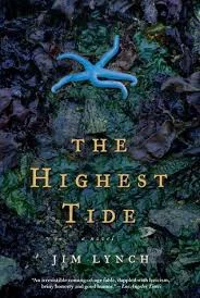 Highest Tide.jpeg