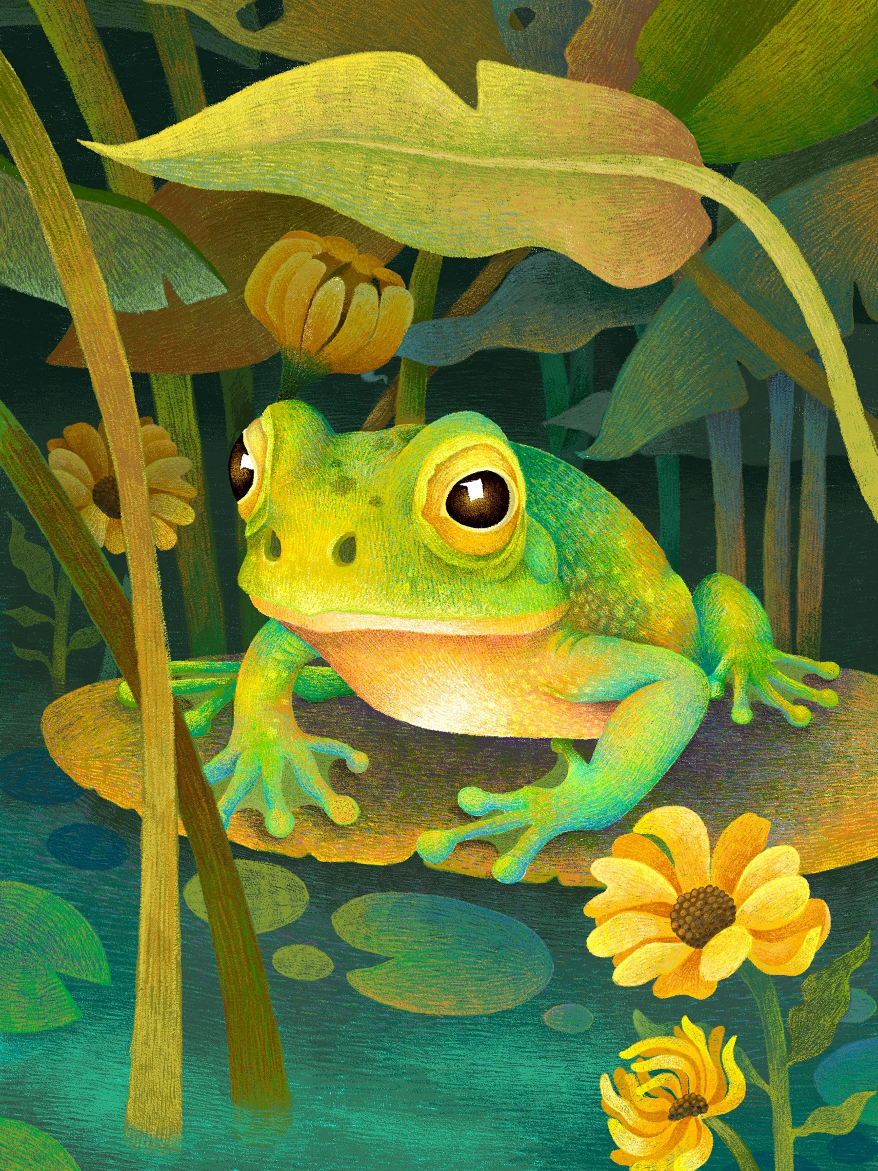 8X6 Frog.jpg