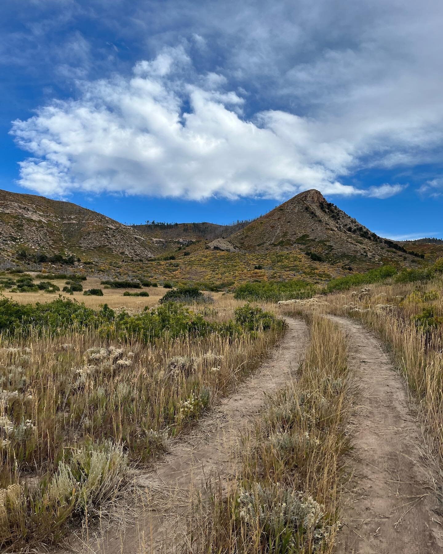 Scenes from a heart-opening weekend in Colorado as I sat in circle with old and new friends for the first time in four years, continuing a tradition that began (for me) eight years ago in the Methow Valley, and for the organization much, much longer 