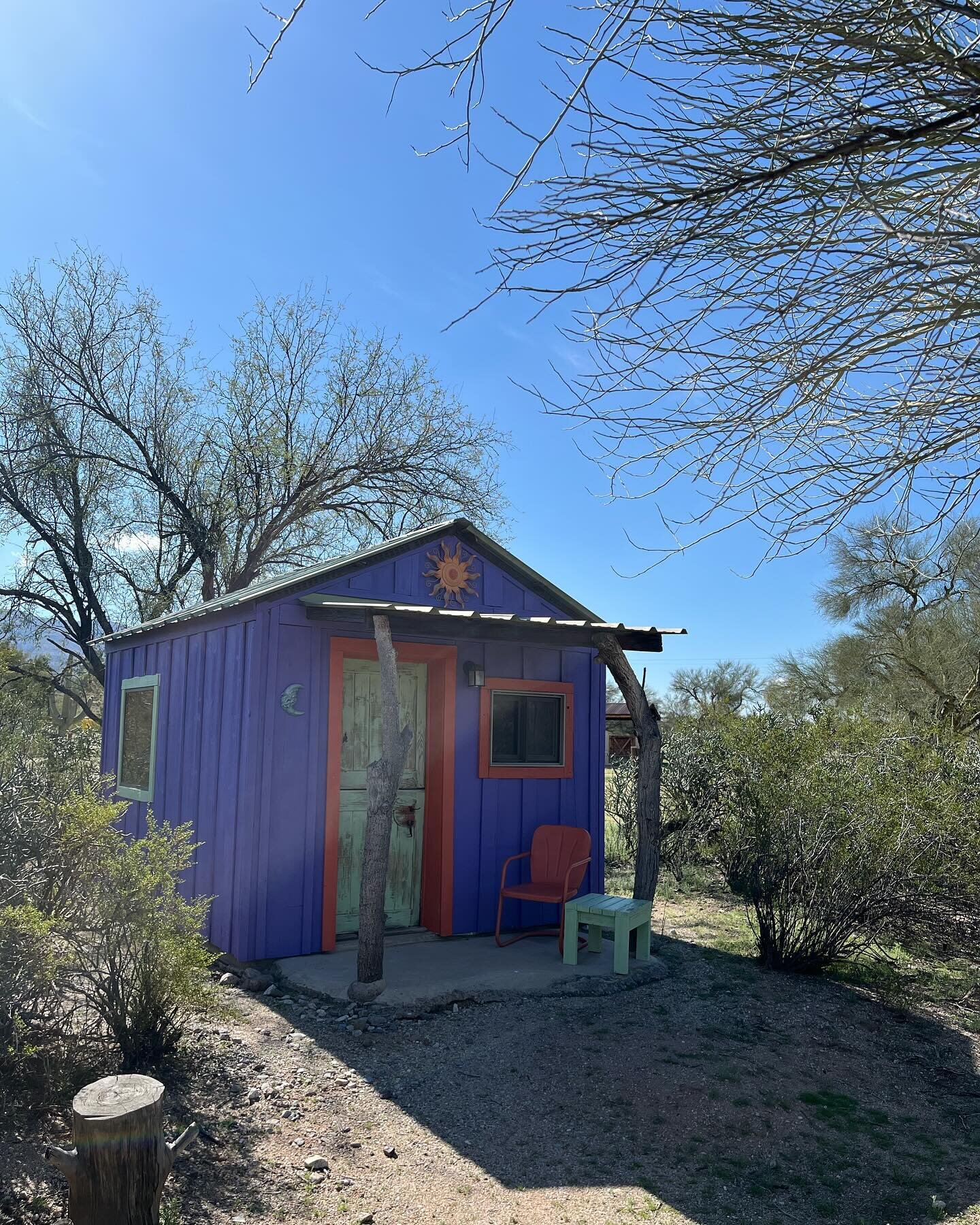 Spring Break Part 2: Tucson

A productive writing retreat punctuated by desert hikes, pottery projects, labyrinth strolls, and special moments with friends and family (human and otherwise 😂).