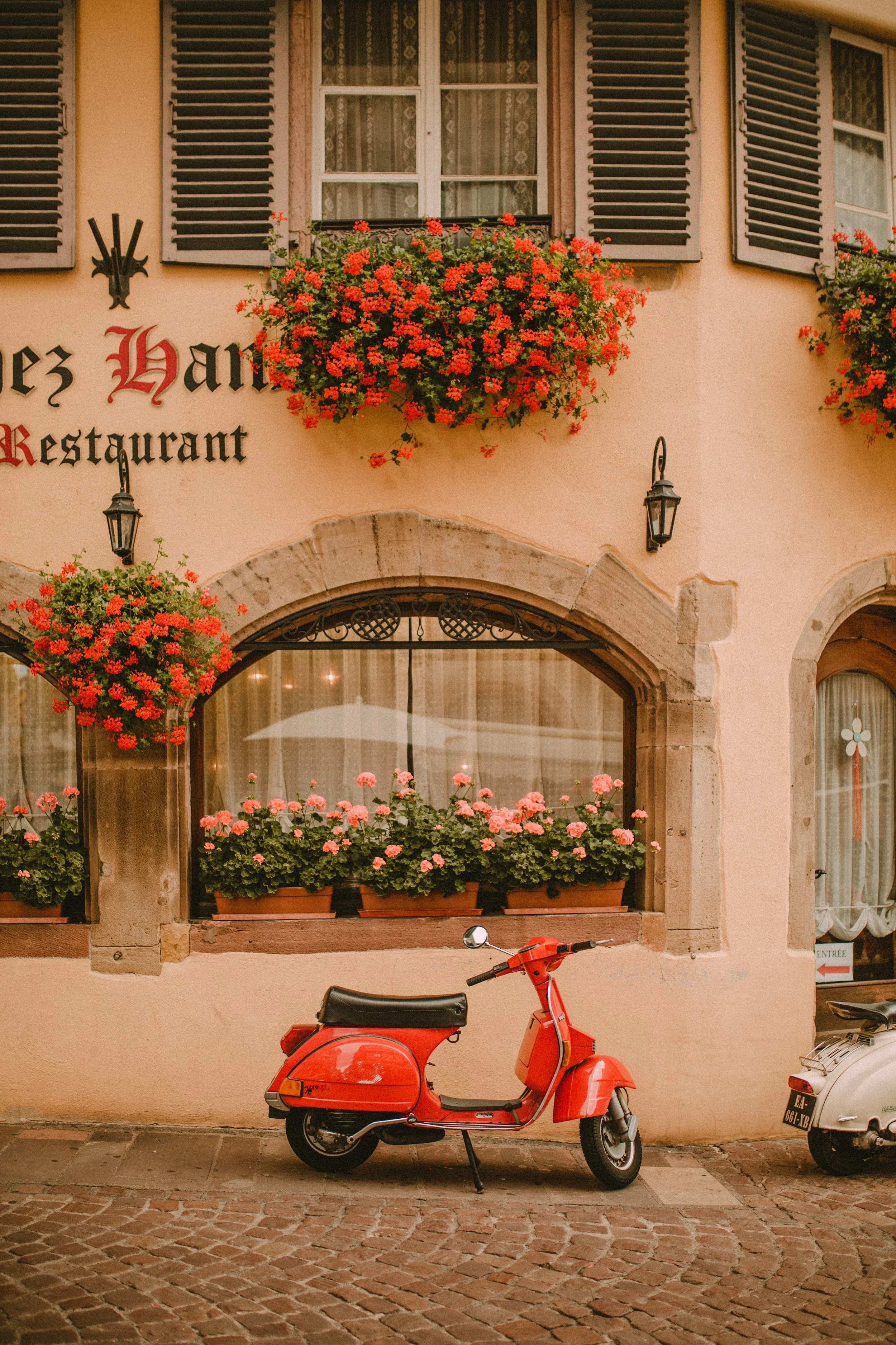 Colmar_2017_09_09_055937-3678_CMB.jpg