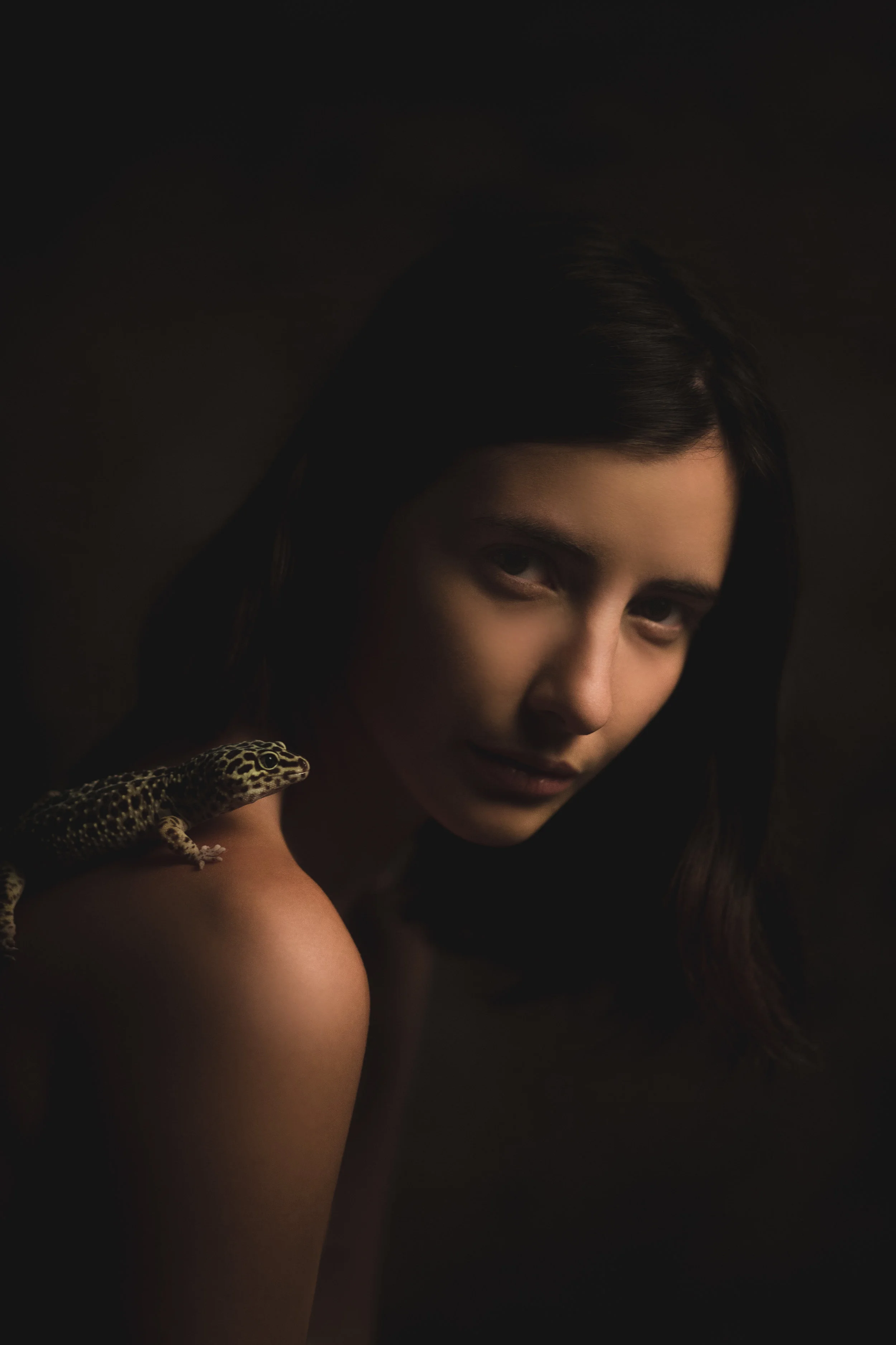 Gecko2019_01_10_203906-_CMB.jpg
